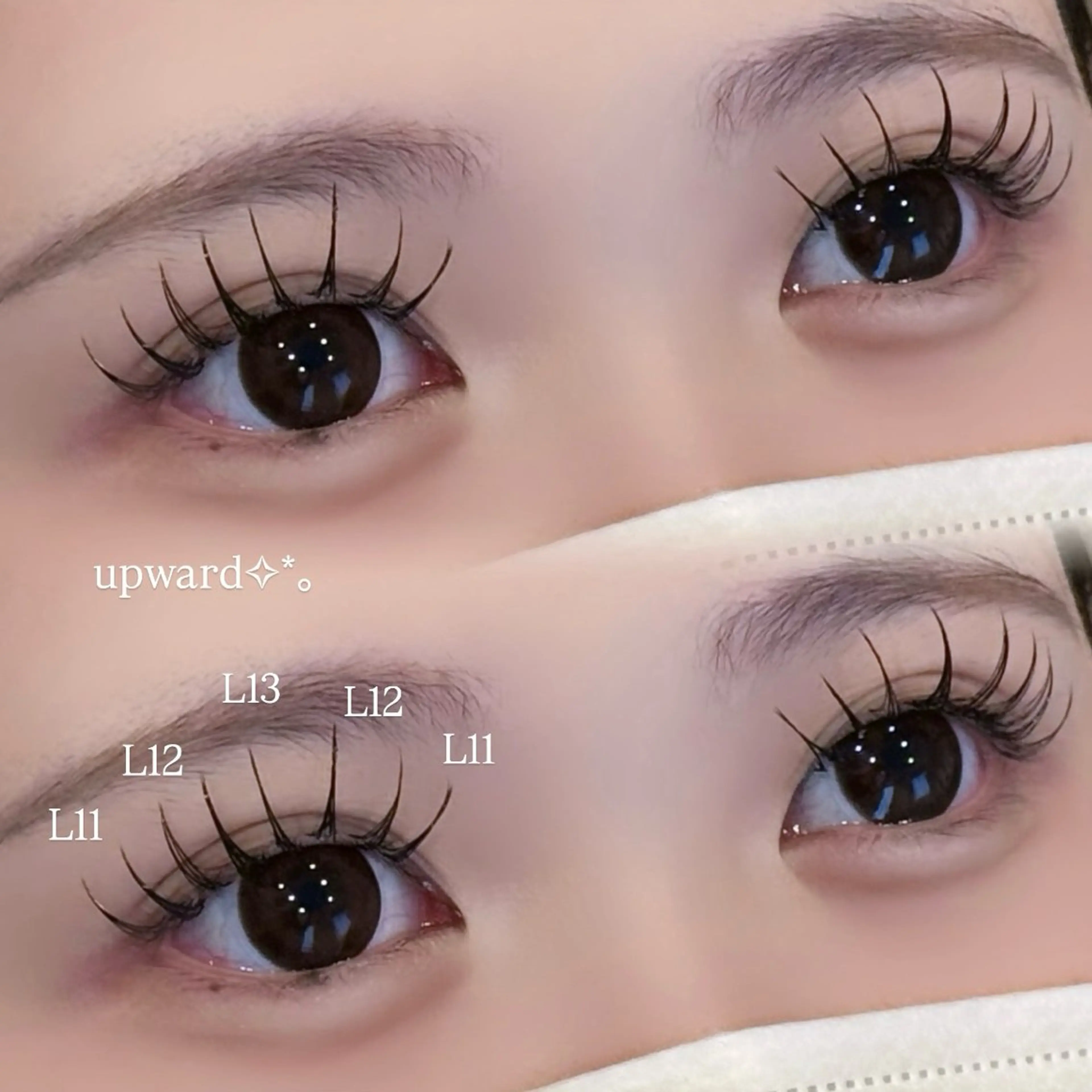 《🎀期間限定🎀》アップワード✦*。フラットラッシュ​〜​120本【オフ別途】の写真