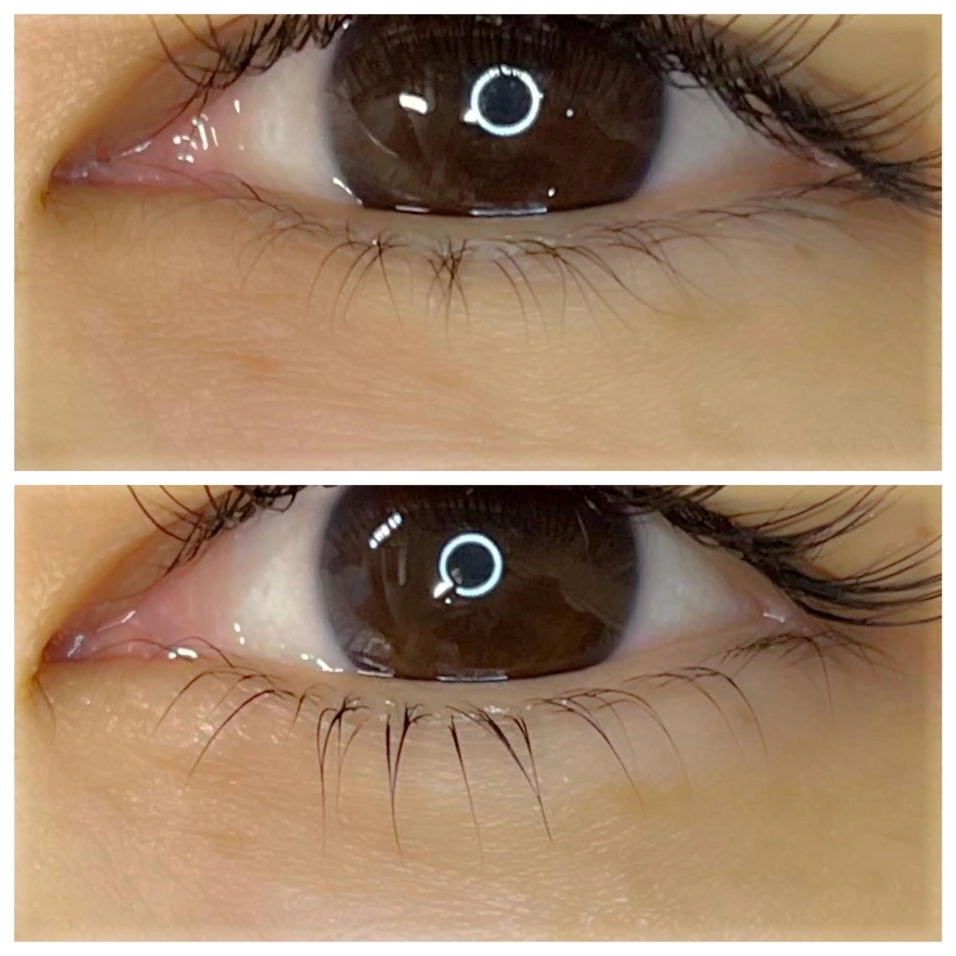 マツエク・マツパ まつげパーマ 下まつげエクステ amu eyelashのマツエク・マツパデザイン