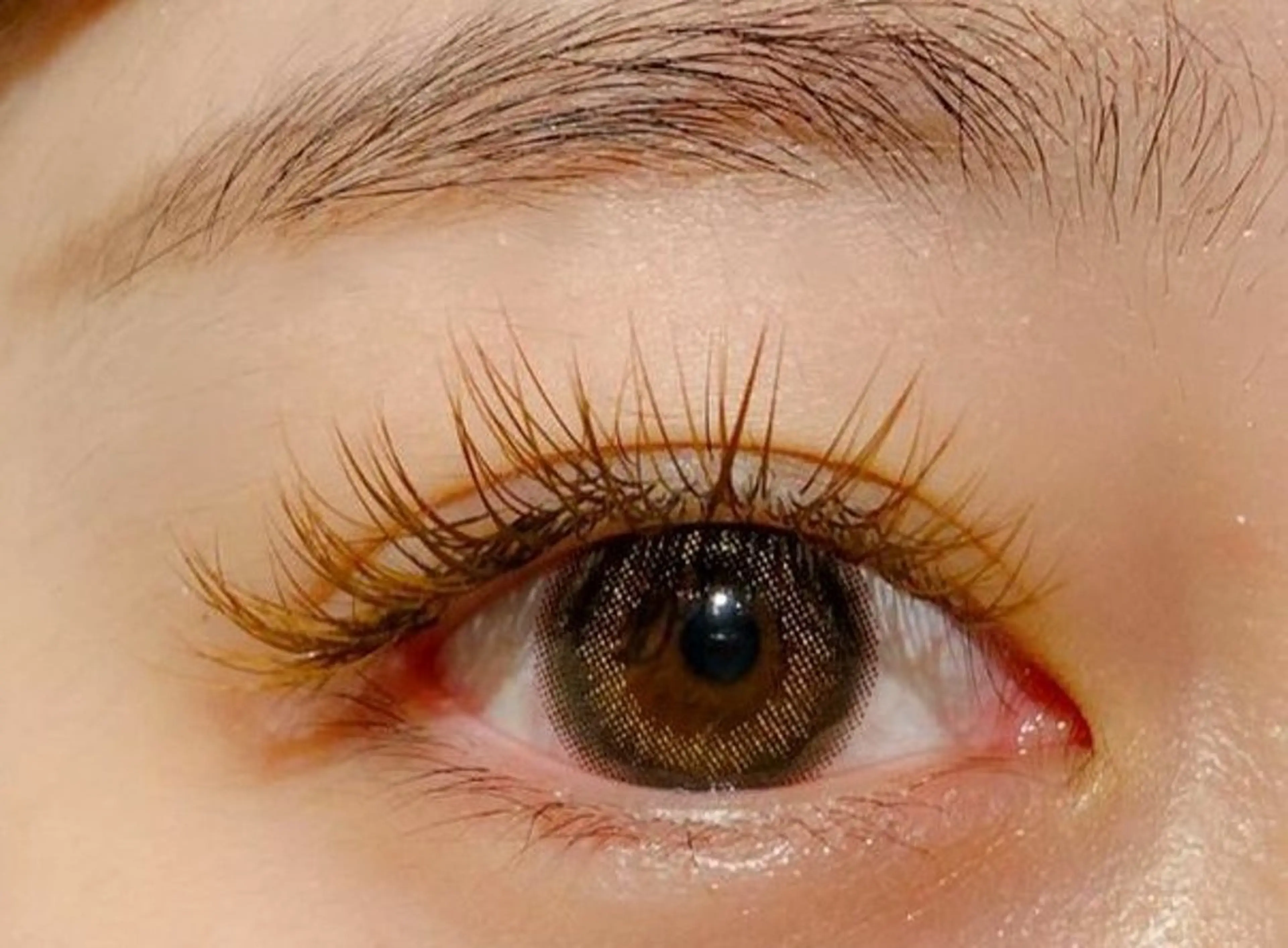 Flat lash color 100本の写真