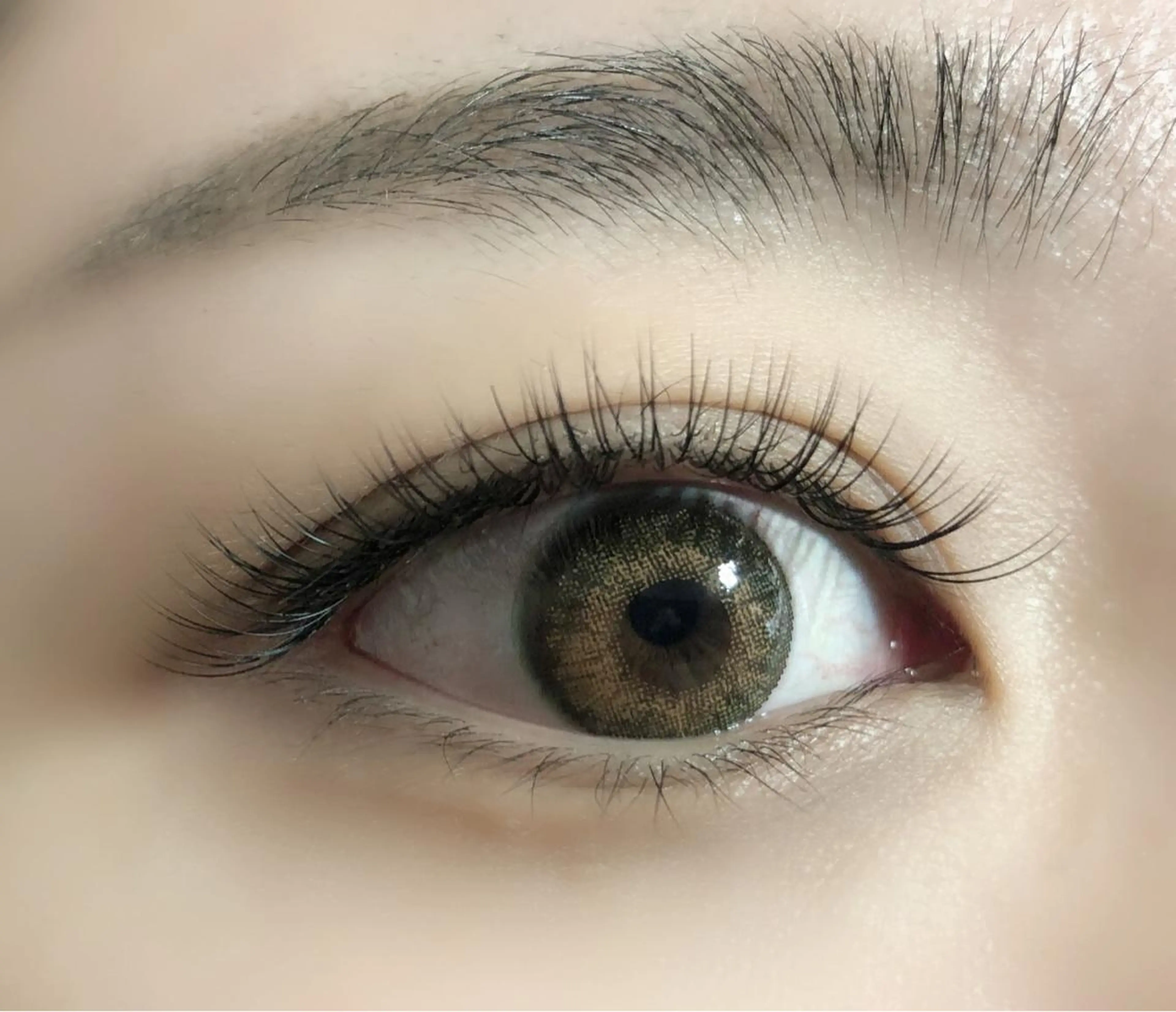 シングルラッシュ140本🌷の写真