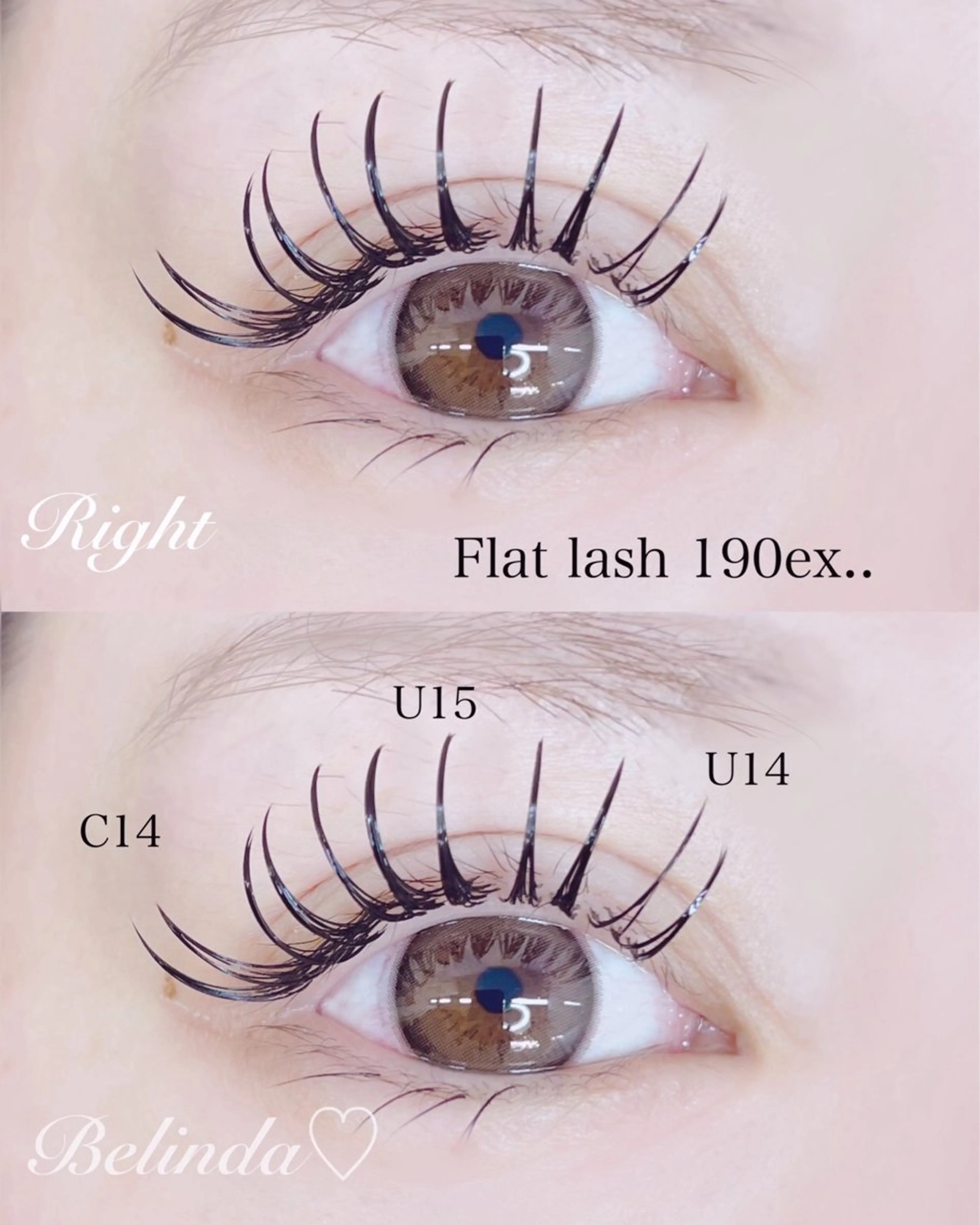 マツエク・マツパ マツエク 桜木町♡ Belindaのマツエク・マツパデザイン