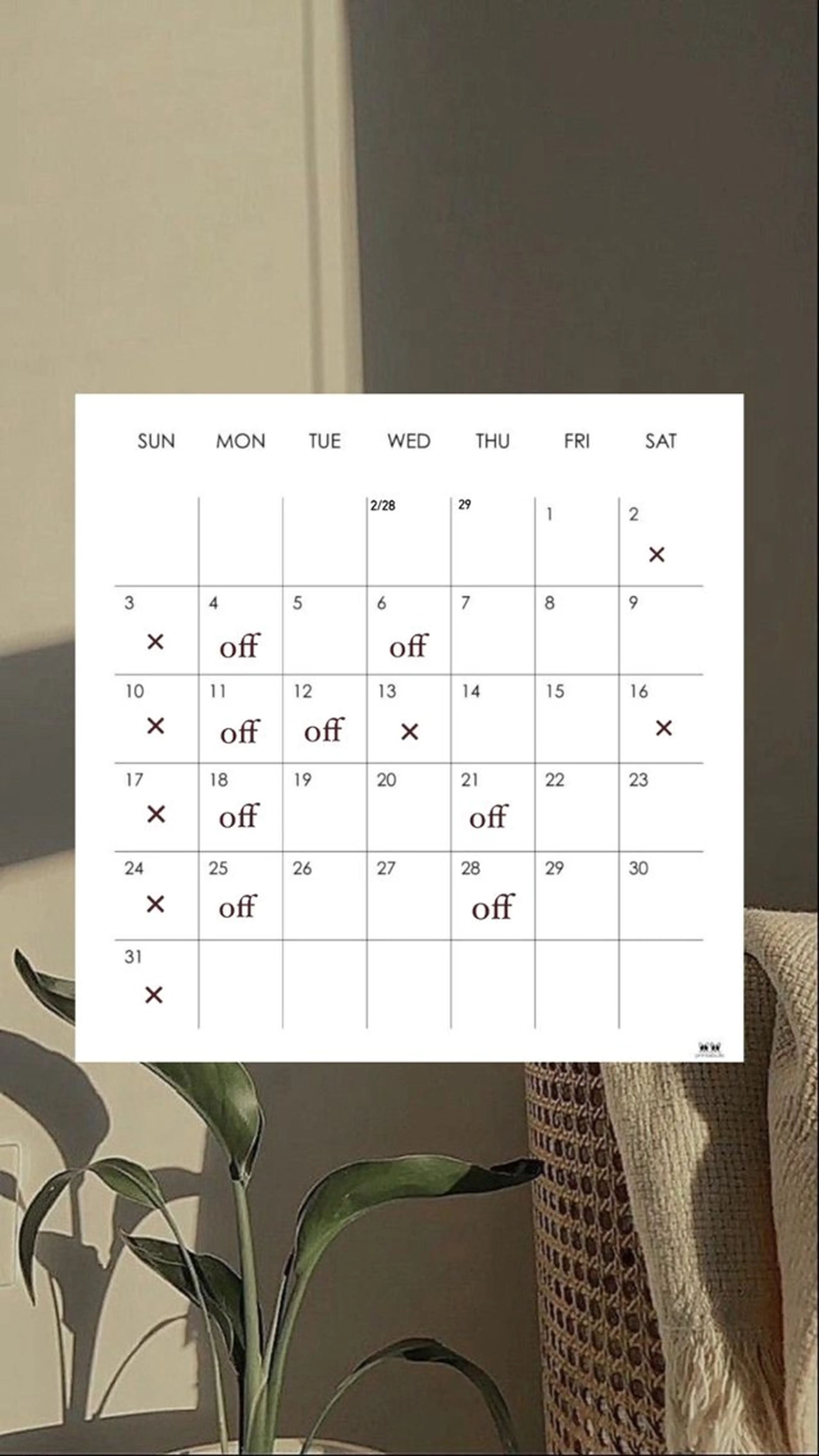 ミディアム カラー メンズ シミズ アスカのヘアスタイル