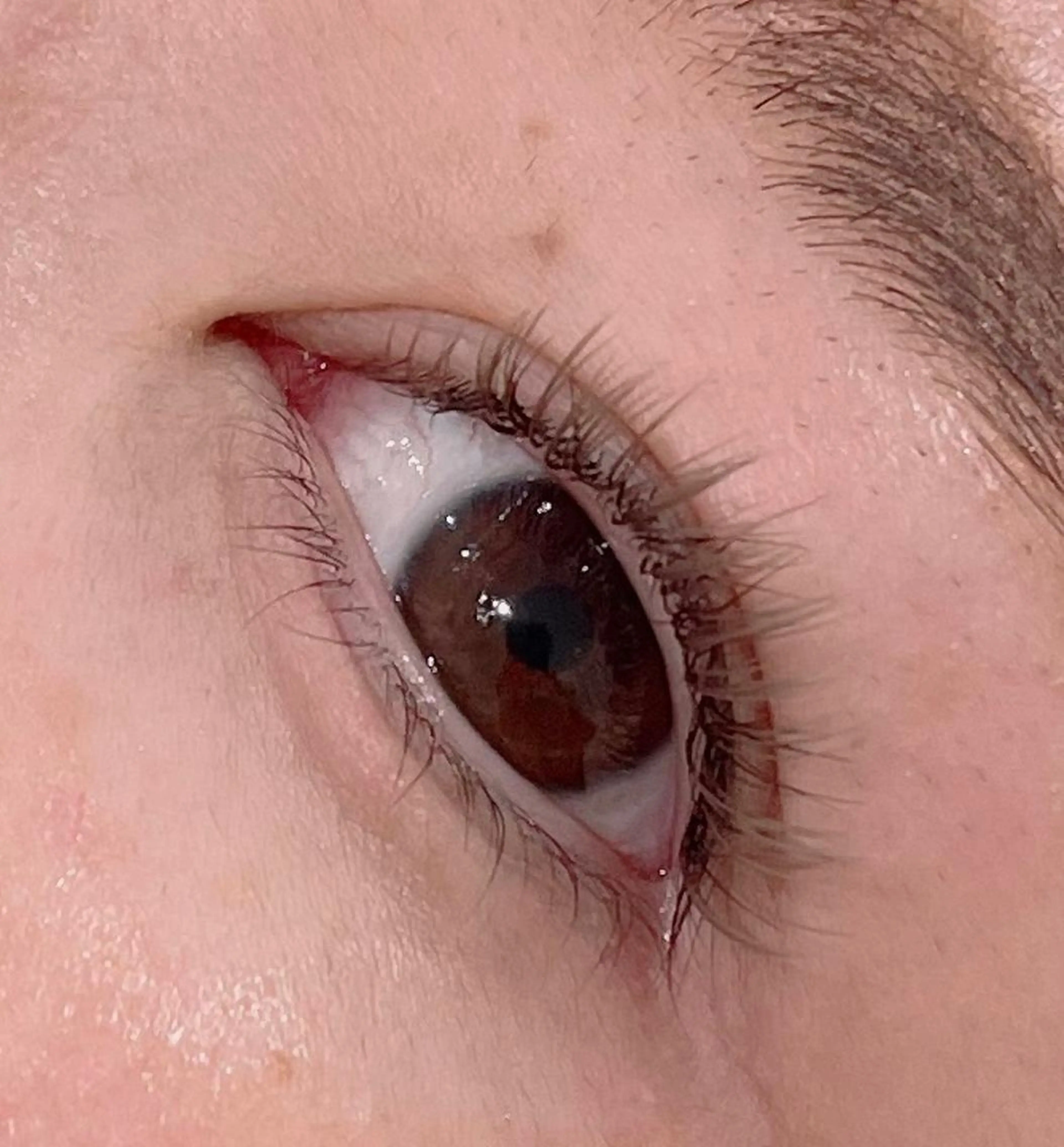 マツエク・マツパ eyelash salon　TOKIのマツエク・マツパデザイン