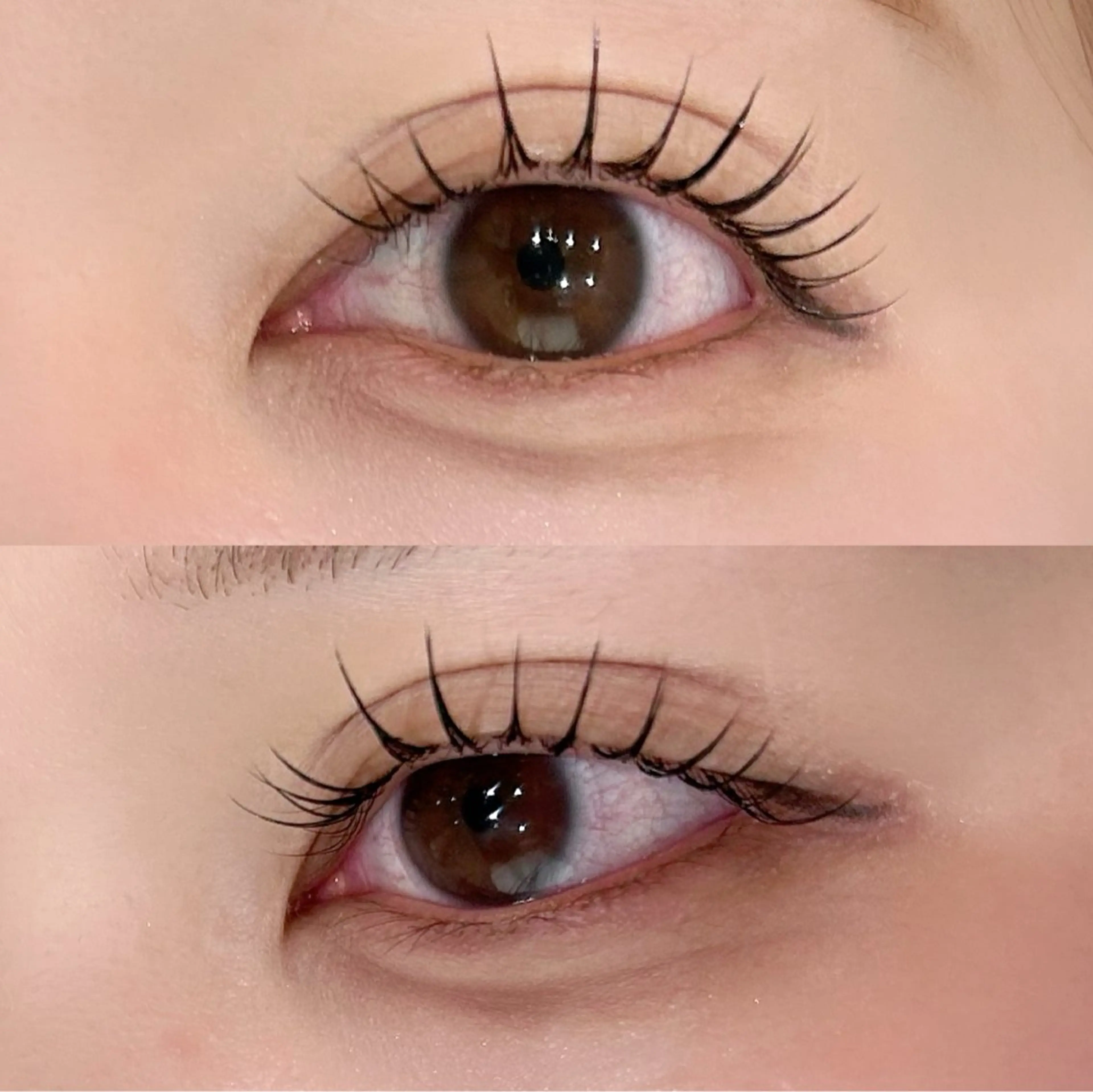 💫オフ込み！リフエクorパリエク80本💫の写真