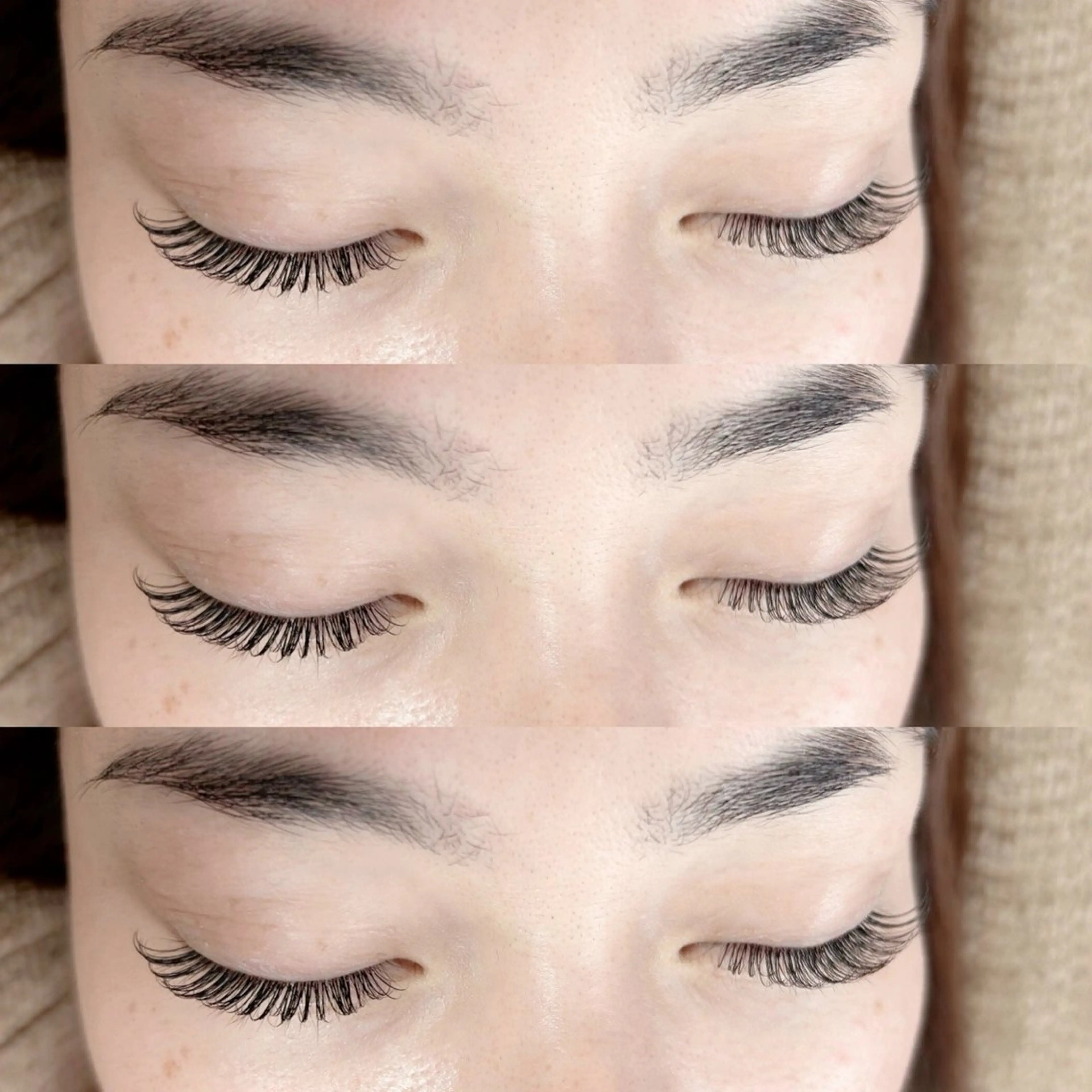 バインド＆フラットMIX120の写真