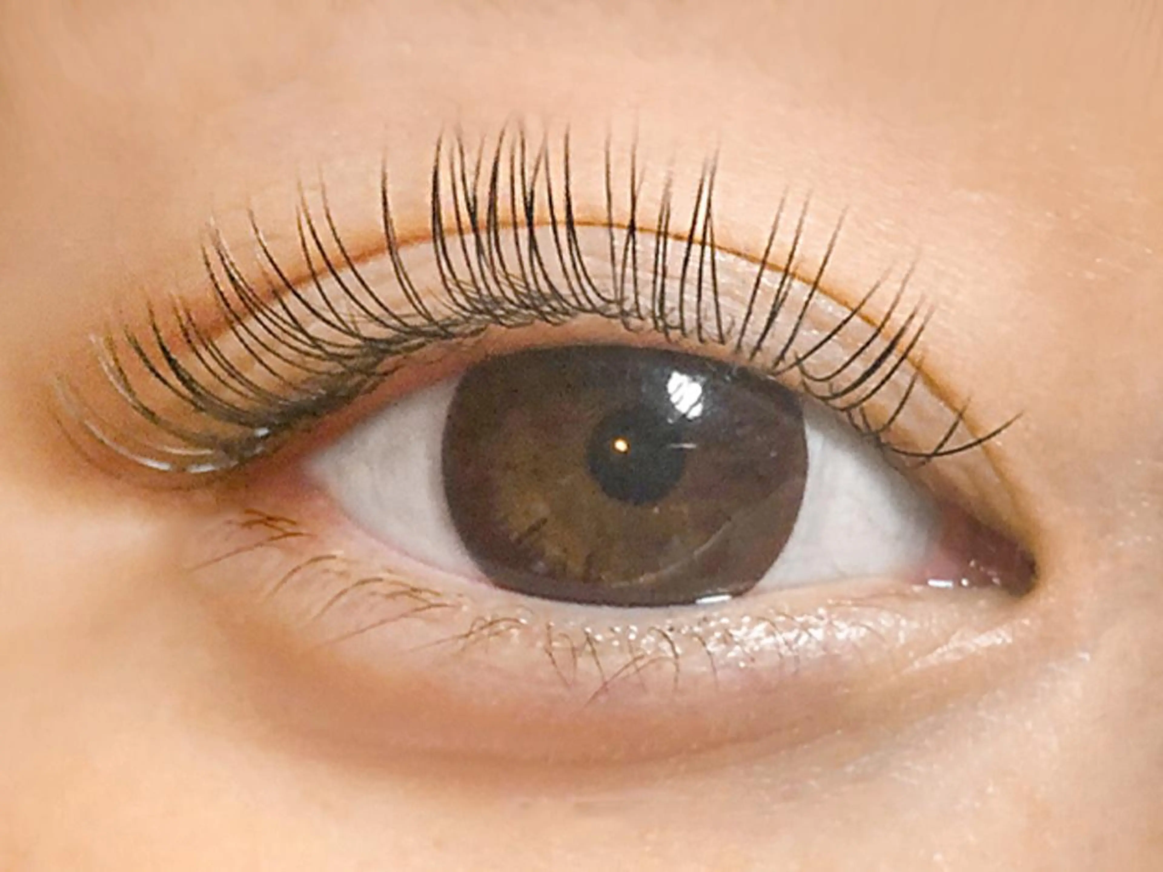 マツエク・マツパ フラットラッシュ Mika .のマツエク・マツパデザイン