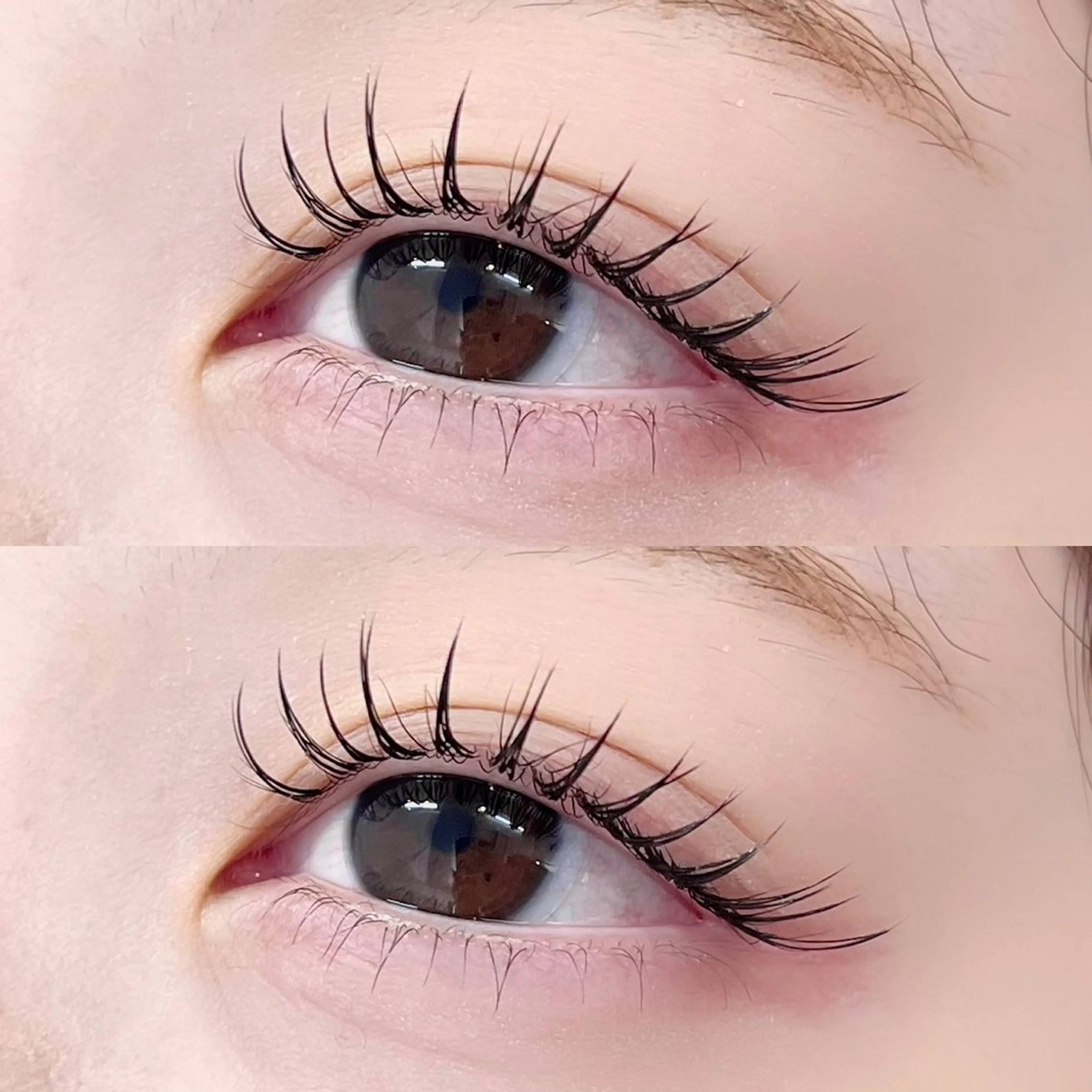 💖本日限定💖【束感☆パリエク】パリジェンヌ＋Wフラット80本 コーティング仕上げの写真