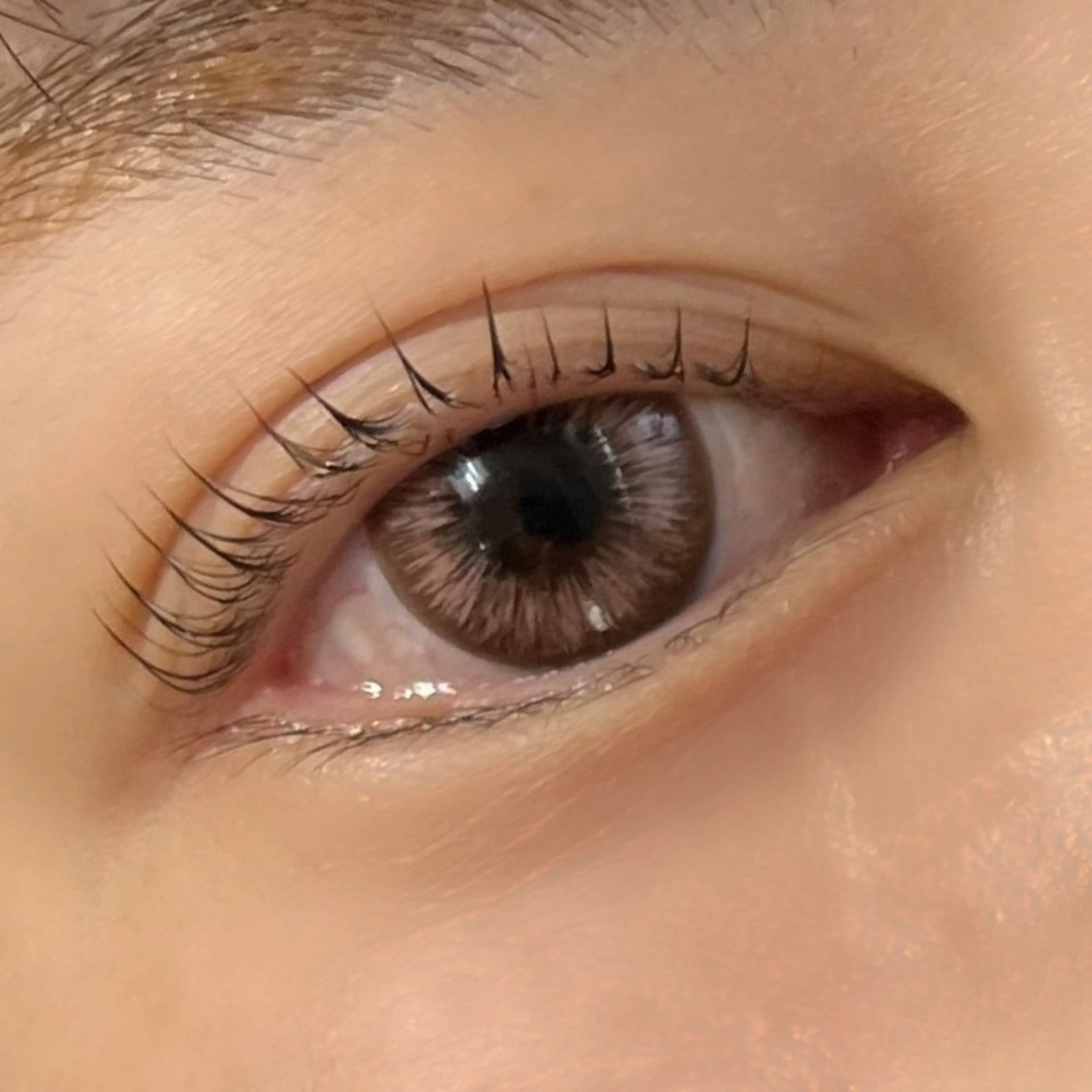 マツエク・マツパ パリジェンヌラッシュリフト Trinity eyelashのマツエク・マツパデザイン