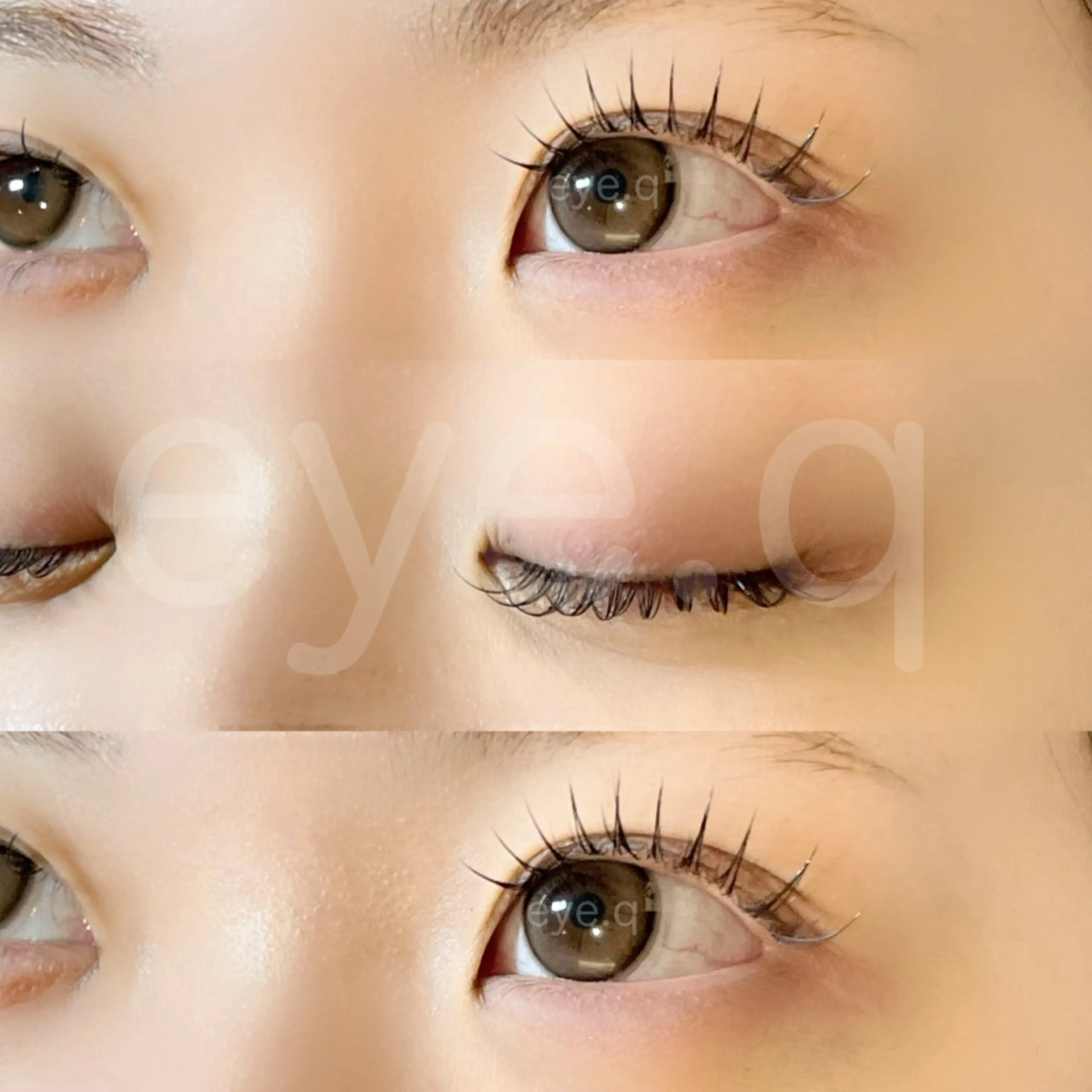 ✨1/6限定✨♡LEDフラットラッシュ 100本♡ 🫧技術向上の為の特別価格🫧の写真