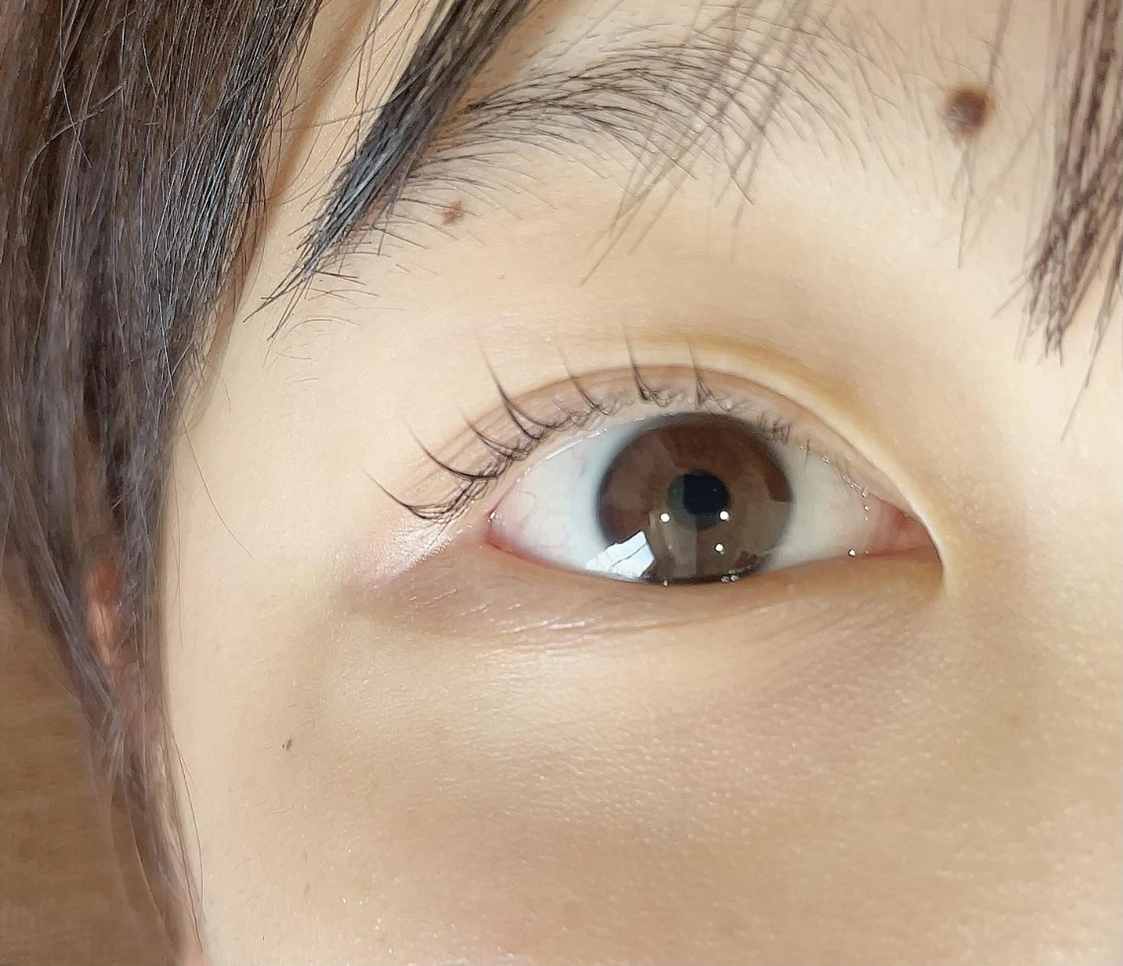 マツエク・マツパ エステdeティアラ せんげん台☆の眉毛・アイブロウイメージ