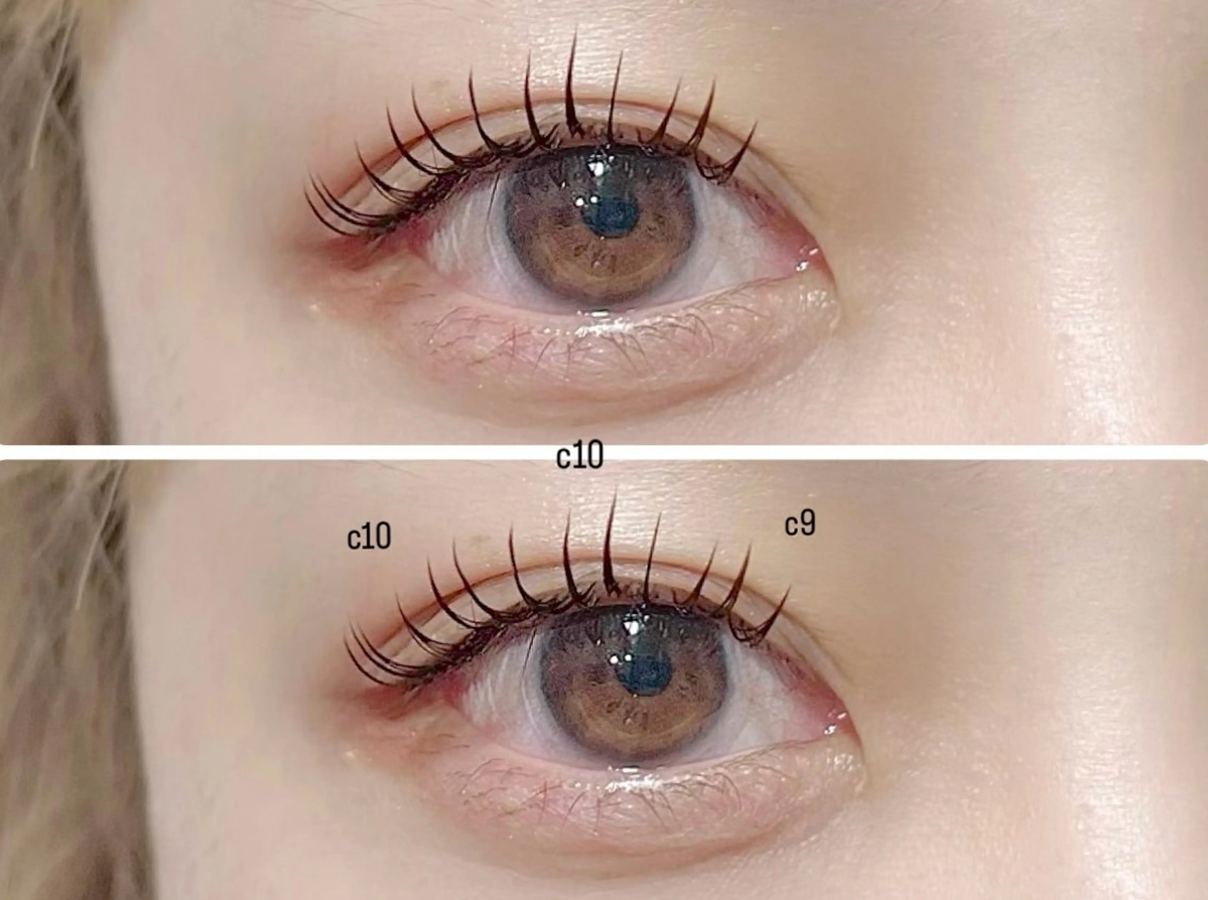マツエク・マツパ パリジェンヌラッシュリフト eyelash&eyebrow Erde所属・Erde/ horizoe🕊️の眉毛・アイブロウイメージ