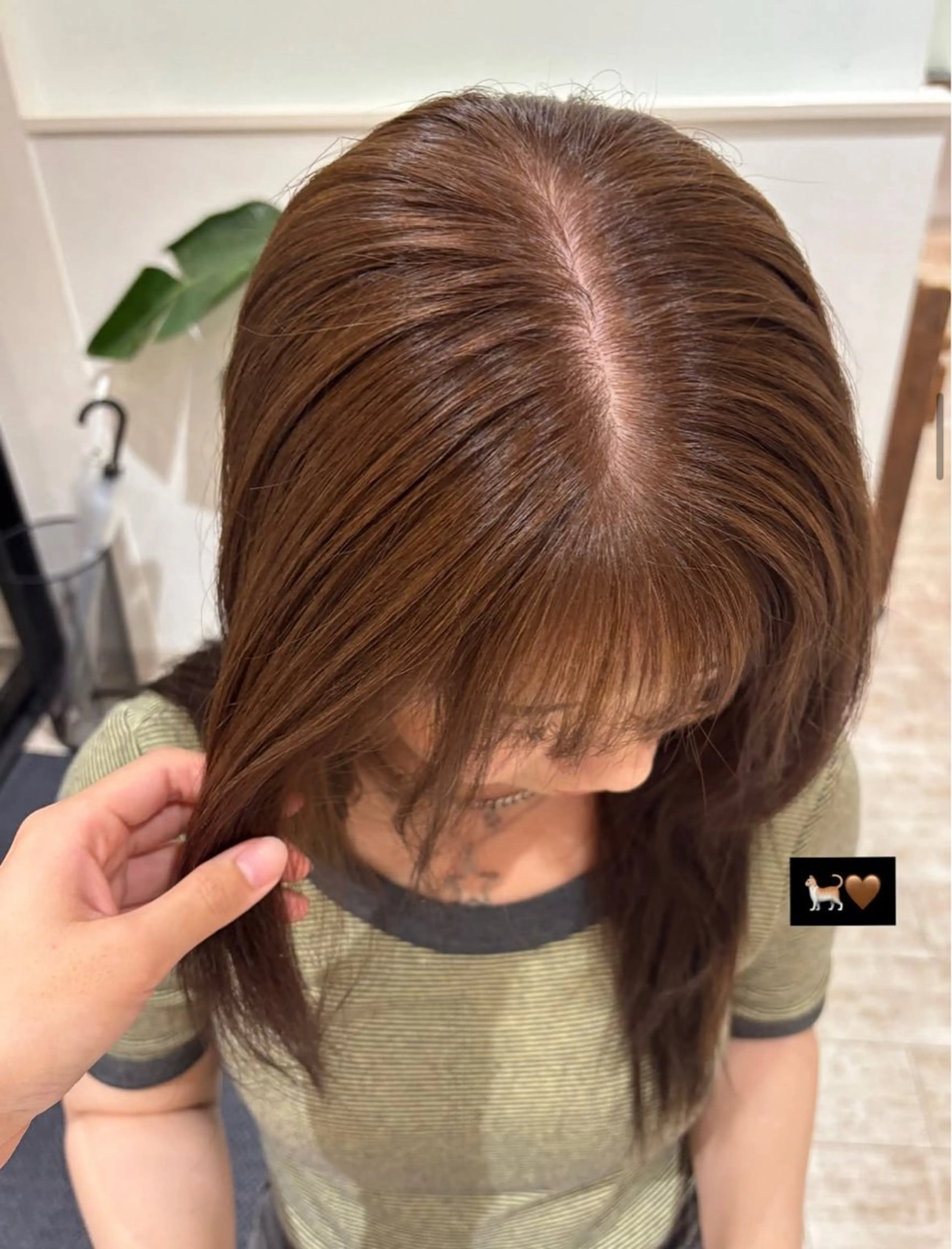 🎹ワンカラー【10代、20代限定‼️】の写真