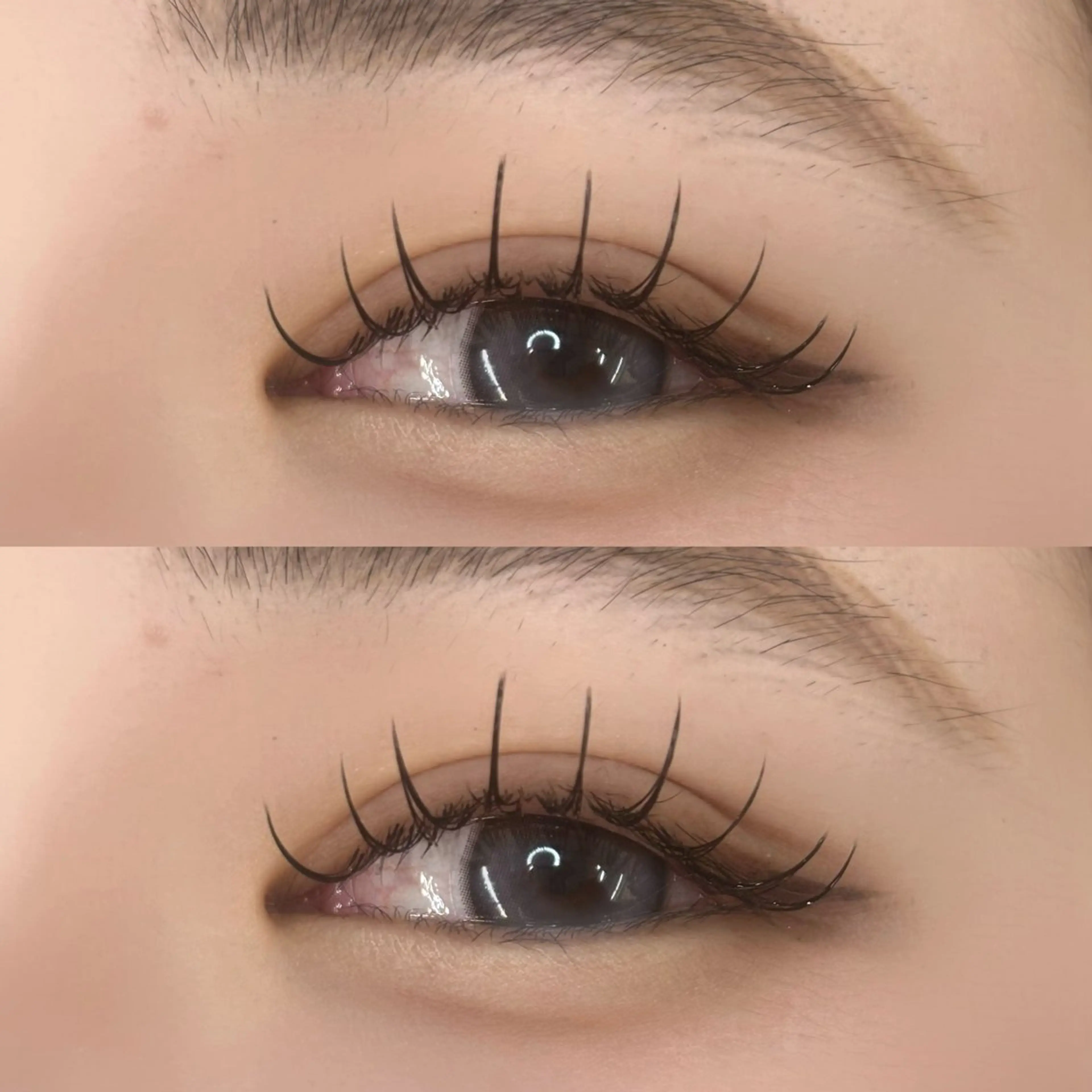 フラットラッシュ120本の写真