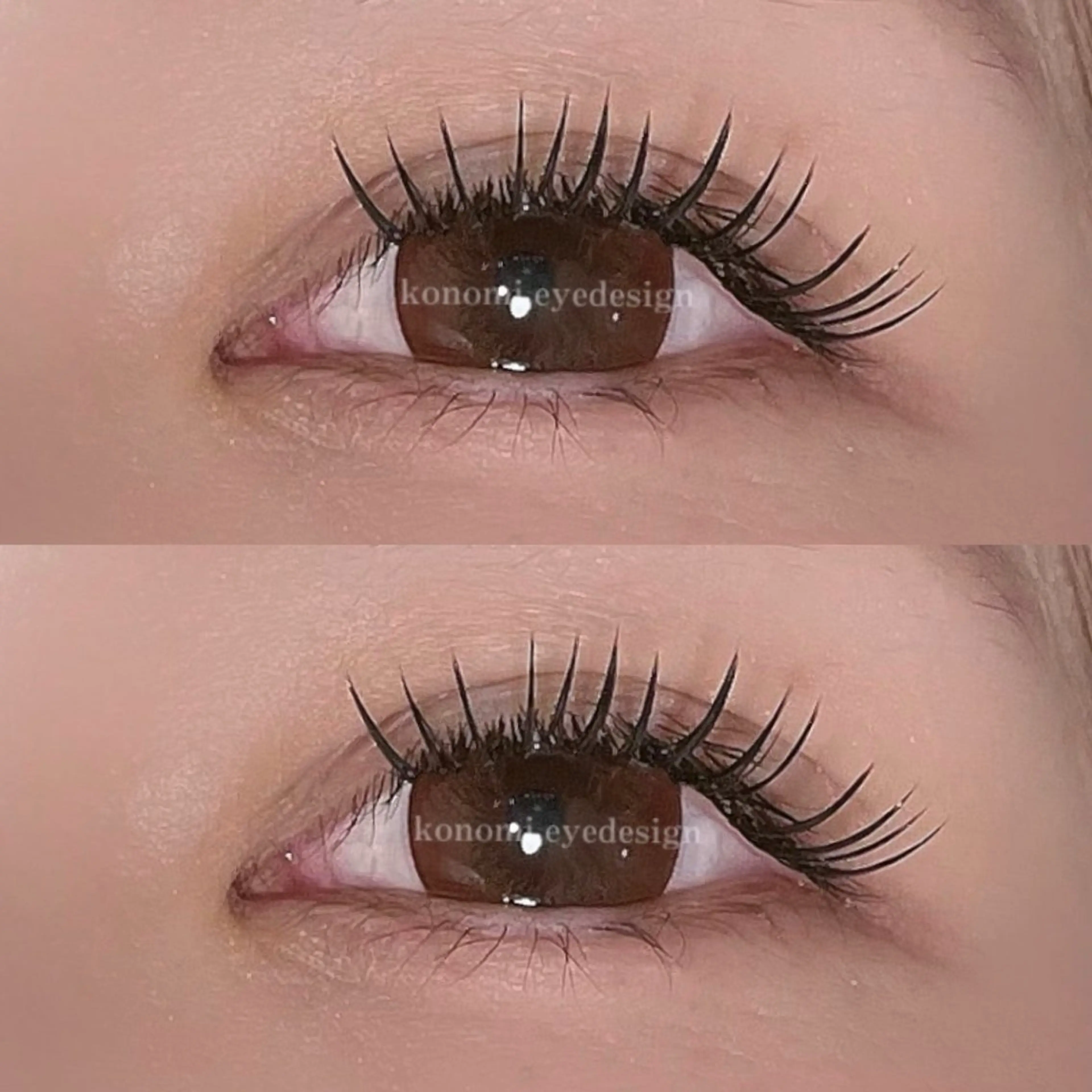 【濃さ＆モチNo.1‼️】バインドロック 80束(オフ＆コーティング仕上げ付き🪄)の写真