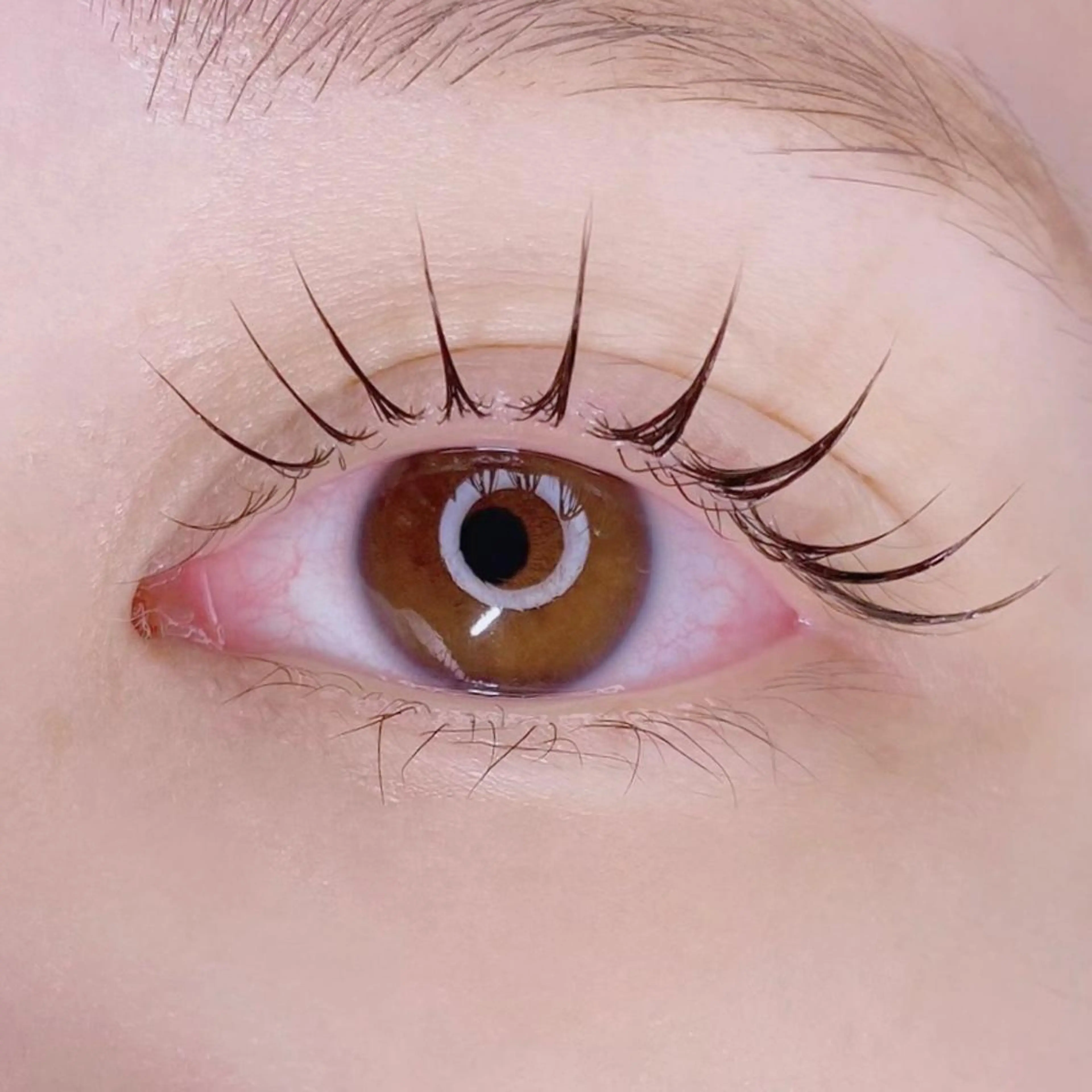 マツエク・マツパ マツパ Nancy所属・束感まつげ❤︎ あみのマツエク・マツパデザイン