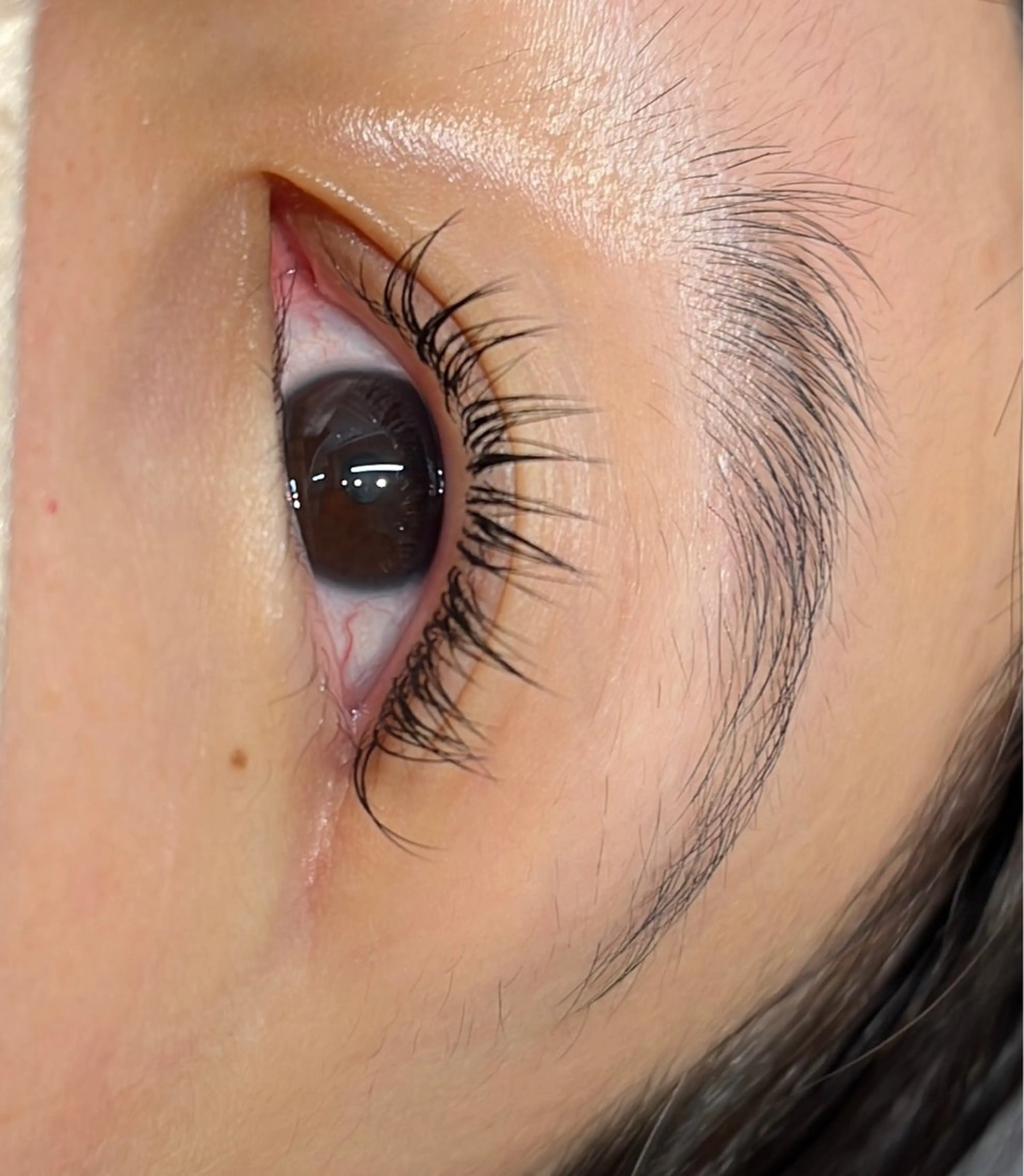 マツエク・マツパ シルク MAQUIA蒲田店 横山のマツエク・マツパデザイン