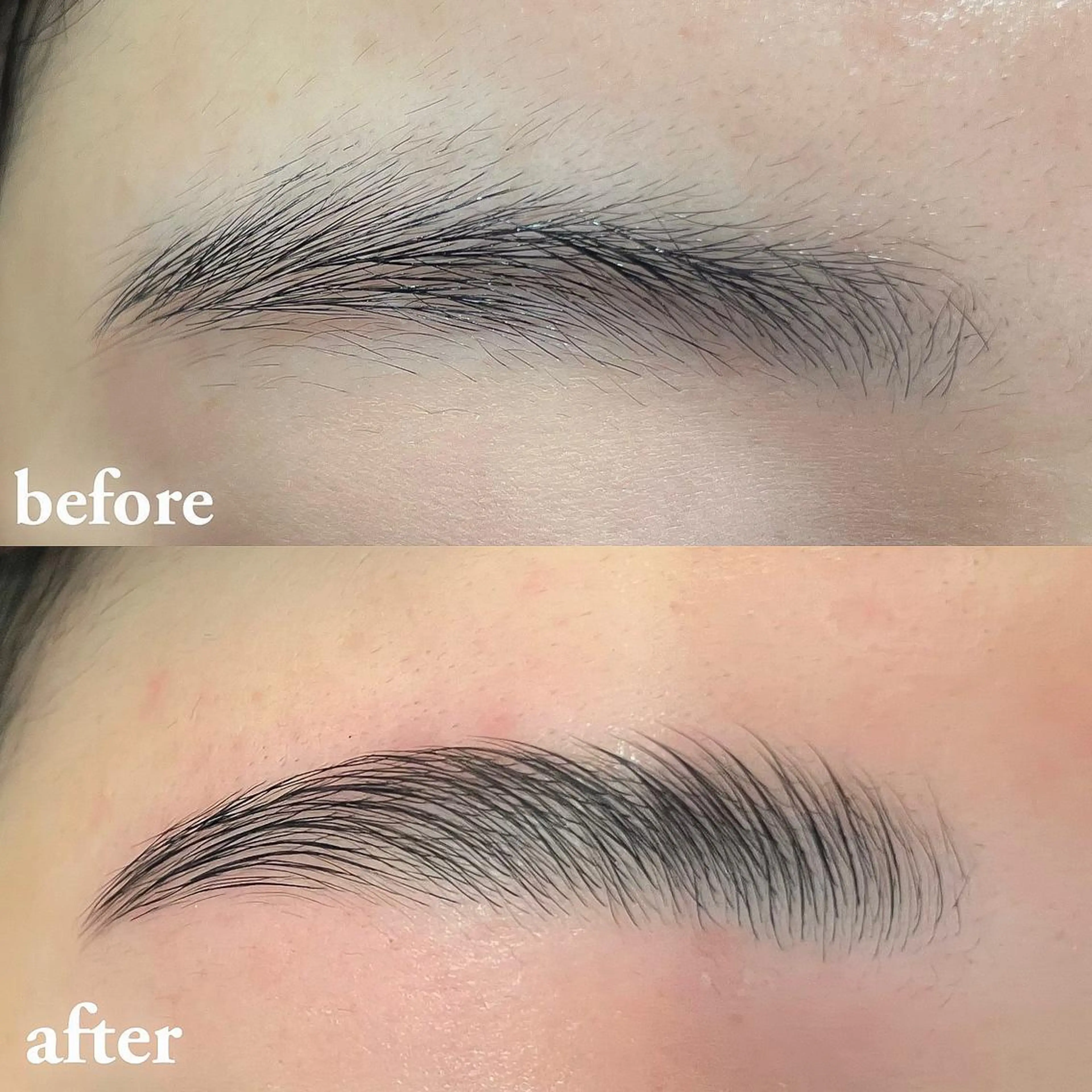 アイブロウ ハリウッドブロウリフト ワックス脱毛 眉カット その他(アイブロウ) 向井 萌華の眉毛・アイブロウイメージ