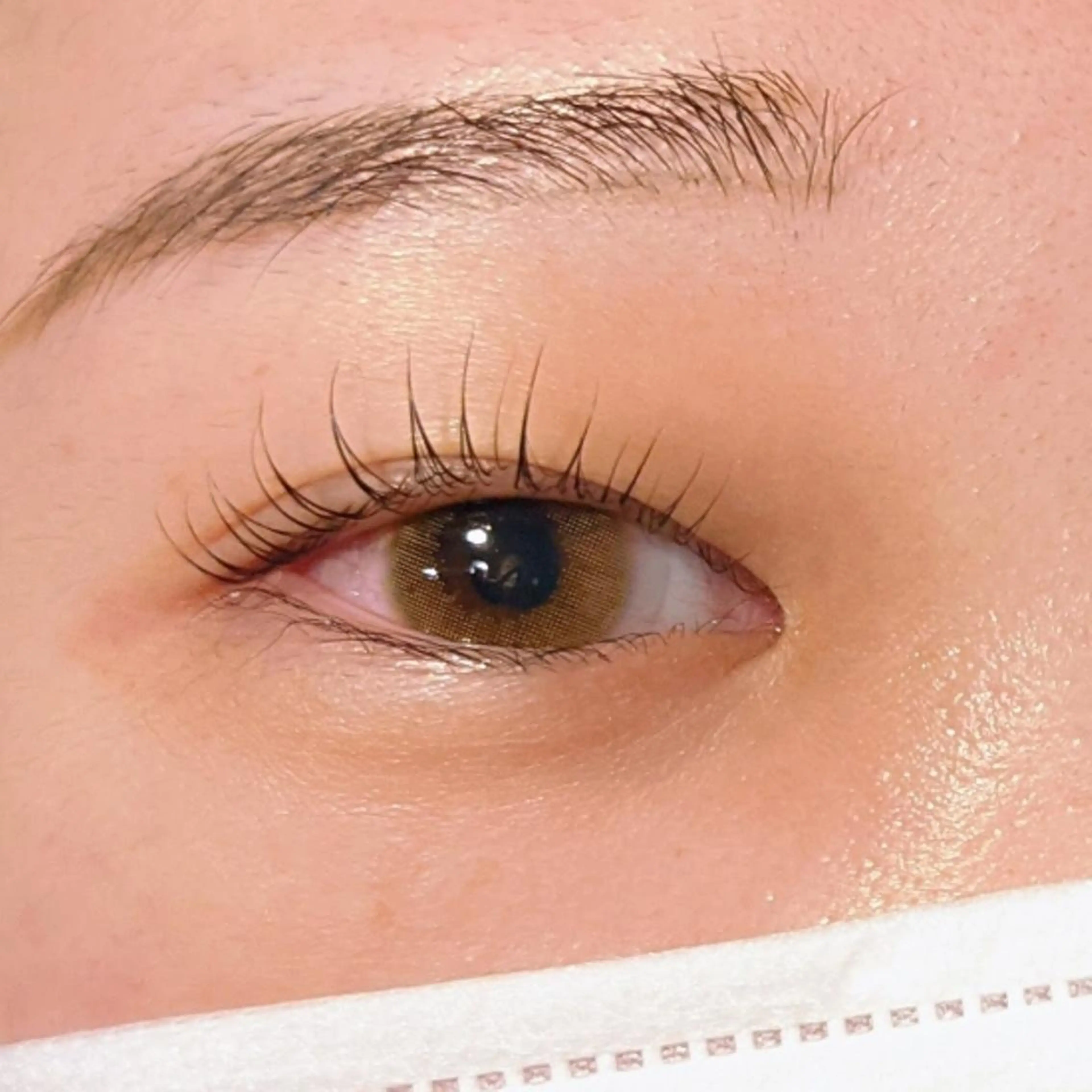 マツエク・マツパ マツパ ｱｲﾗｯｼｭ ﾈｲﾙ ｻﾛﾝ つけるのマツエク・マツパデザイン