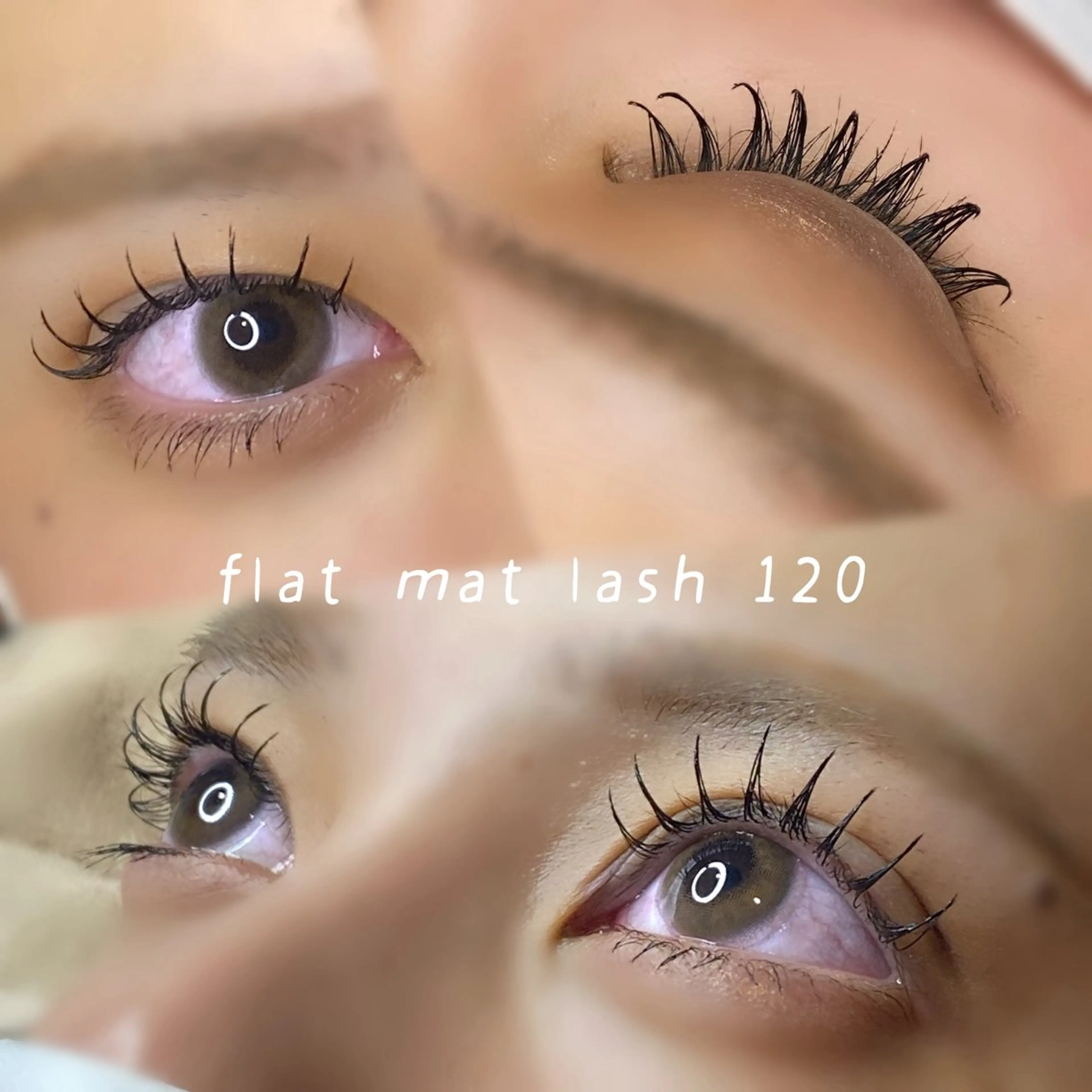 ✨人気NO.1✨フラットマットラッシュ上まつ毛120本まで🌹.*の写真