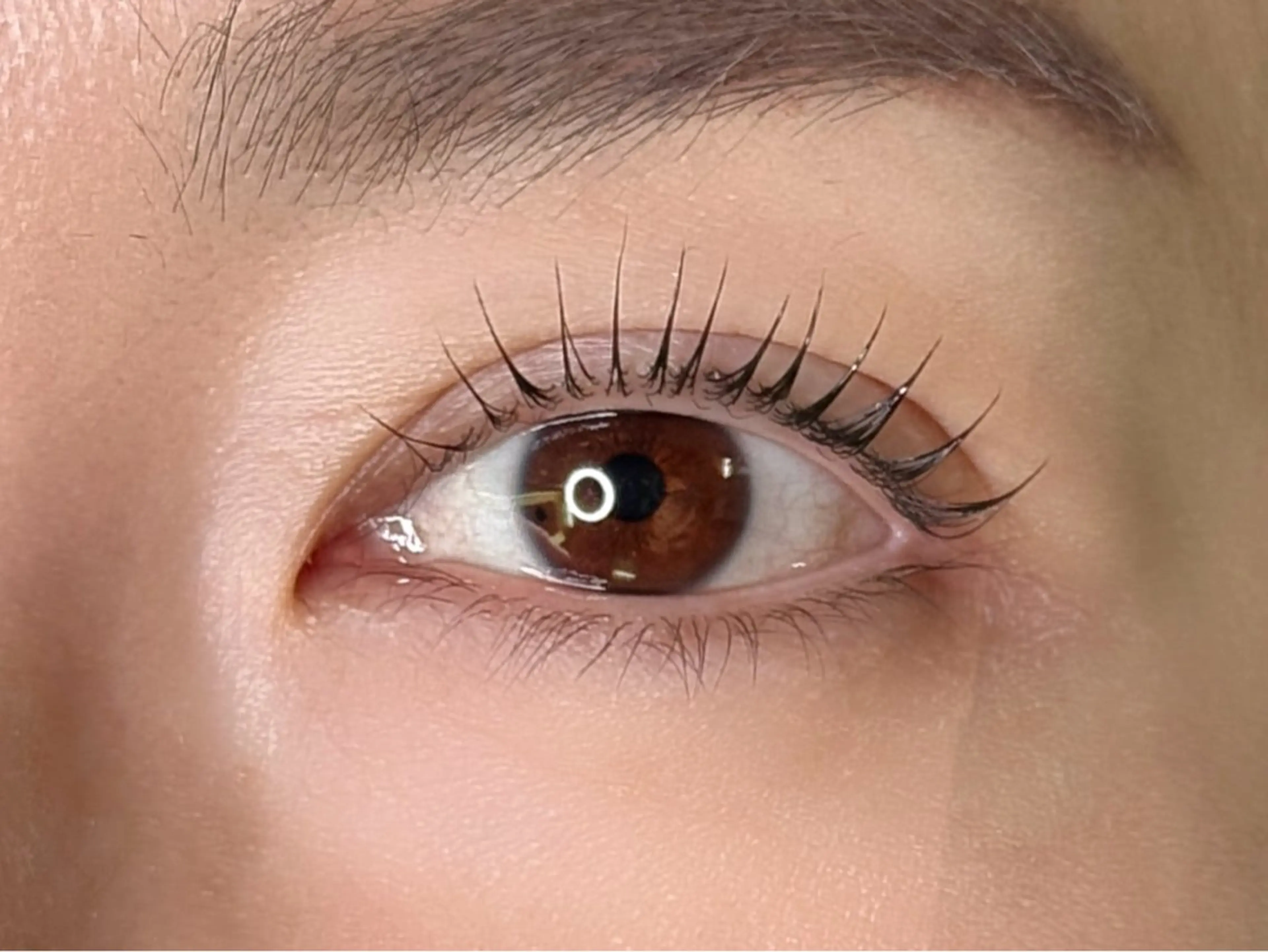 【2回目3回目のご来店】ラッシュリフト(上)(クリアorブラックコーティング仕上げ)の写真