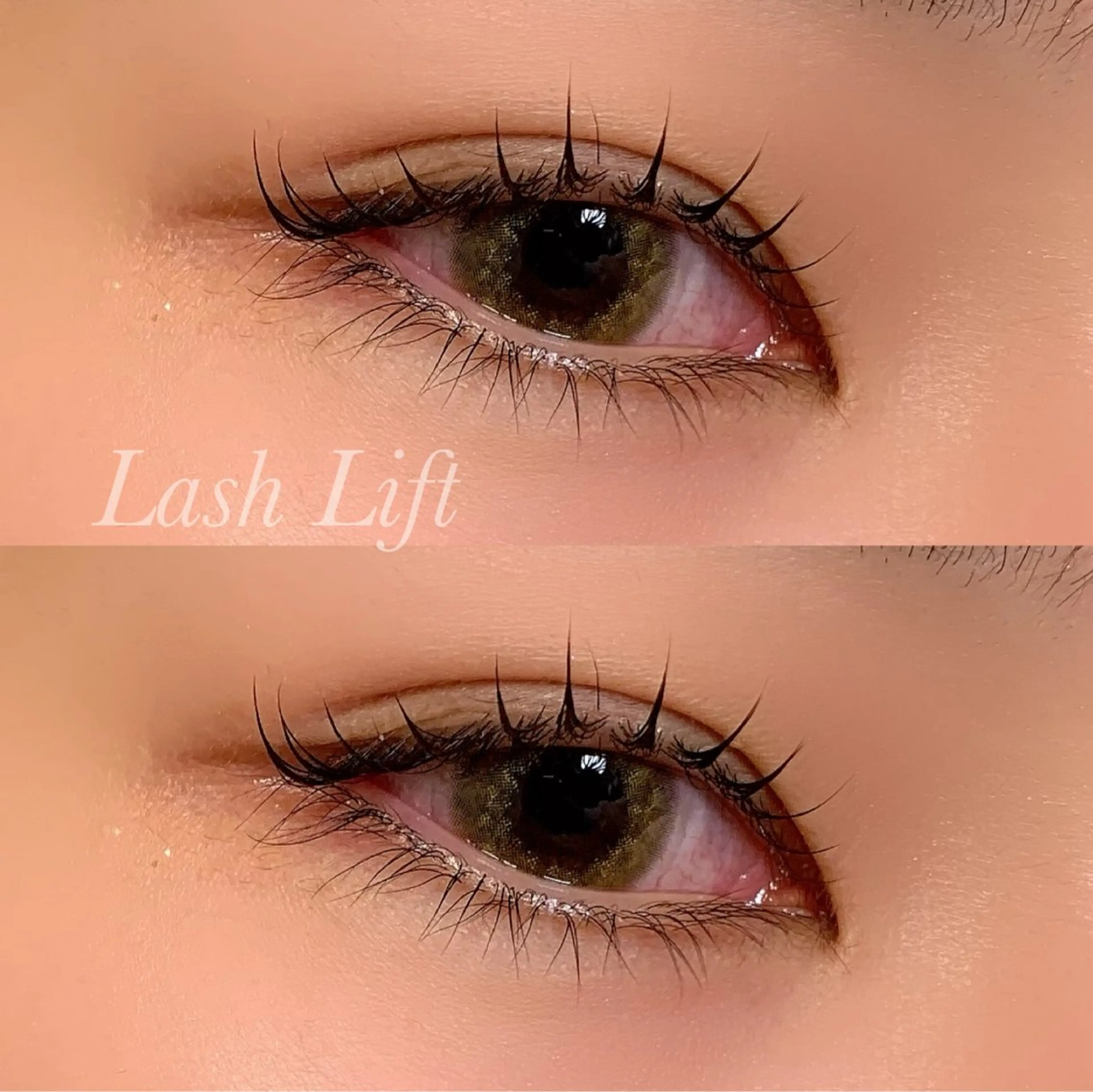 マツエク・マツパ まつげパーマ マツパ Ayumi.pro 🍆N《4階》のマツエク・マツパデザイン