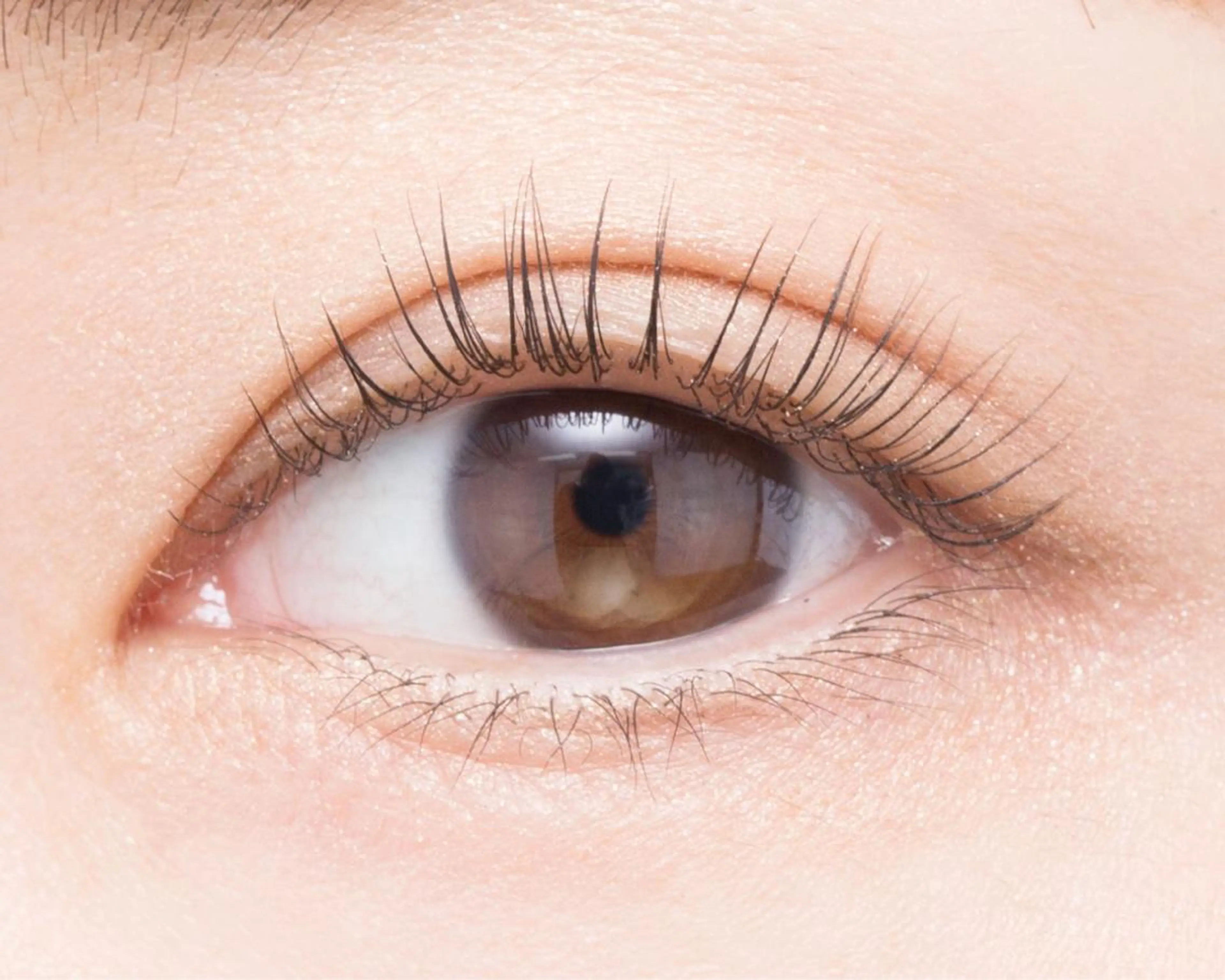 マツエク・マツパ 一重×まつ毛パーマ 岡田 lalaの眉毛・アイブロウイメージ