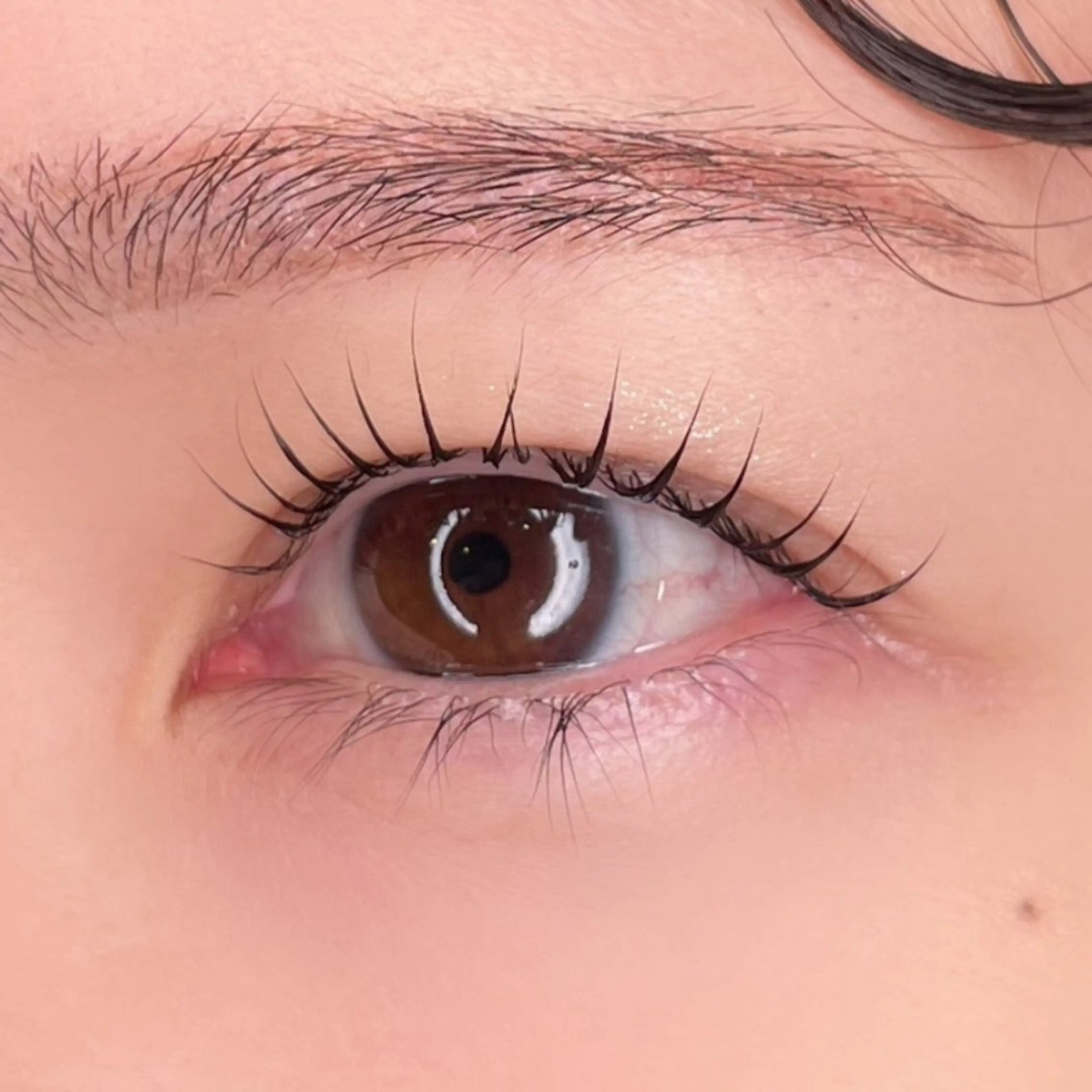 マツエク・マツパ cache 【カシェ】所属・cache / SAKIの眉毛・アイブロウイメージ