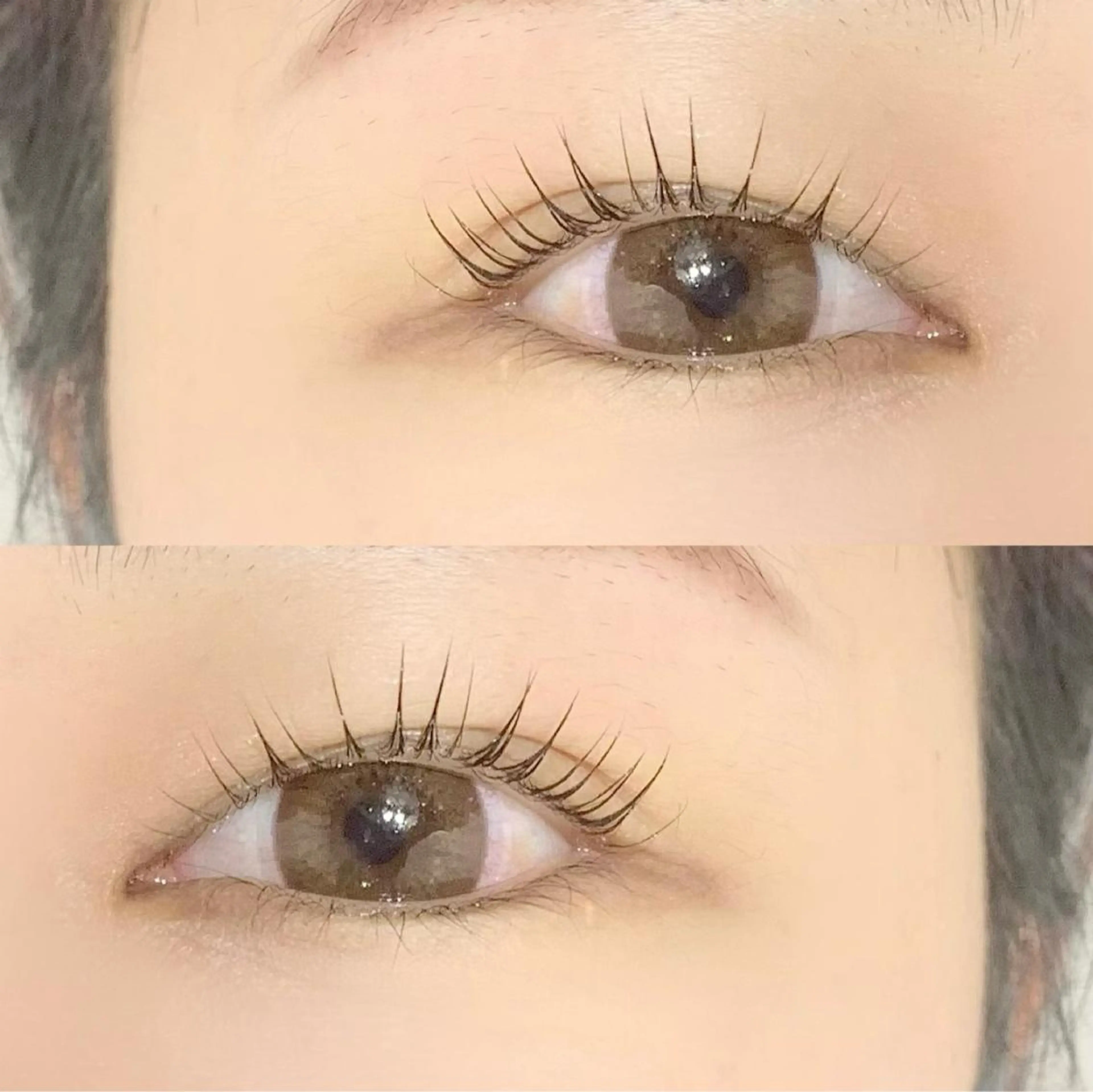 マツエク・マツパ パリジェンヌラッシュリフト ｍａｌｃ．所属・大阪/天王寺/寺田町 /河堀口のマツエク・マツパデザイン