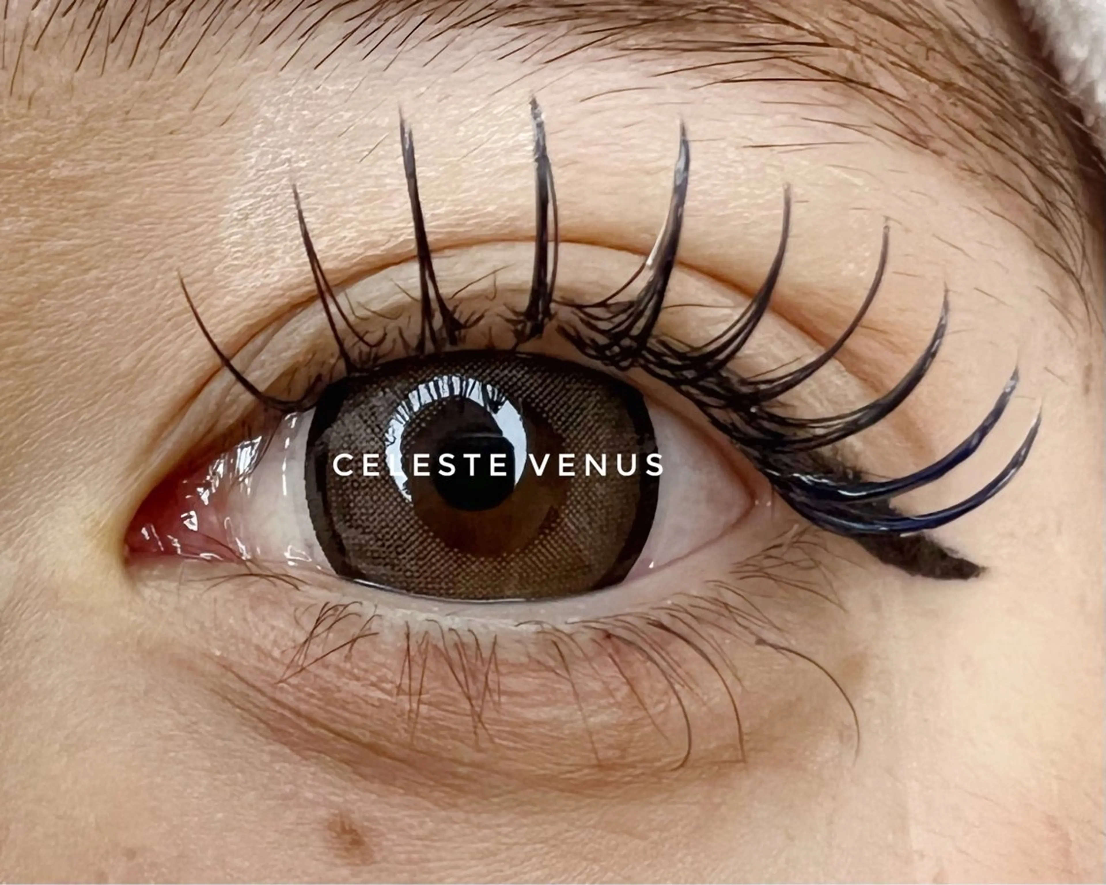 マツエク・マツパ マツエク Celeste Venus所属・🧸Celeste Venusのマツエク・マツパデザイン