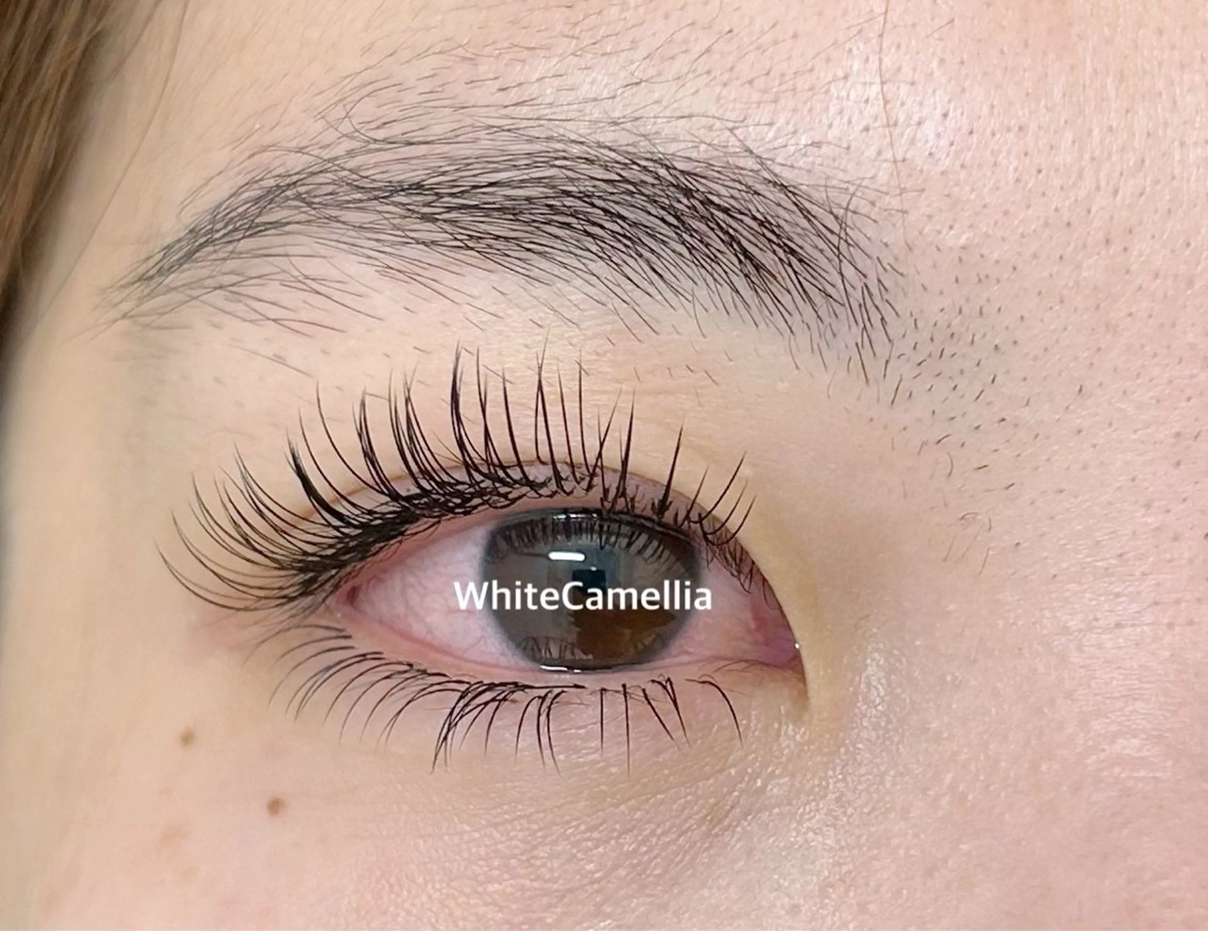 下 まつ毛LEDエクステ 40本 無料レッスンモデル（オフ無しの方のみリペア不可）の写真