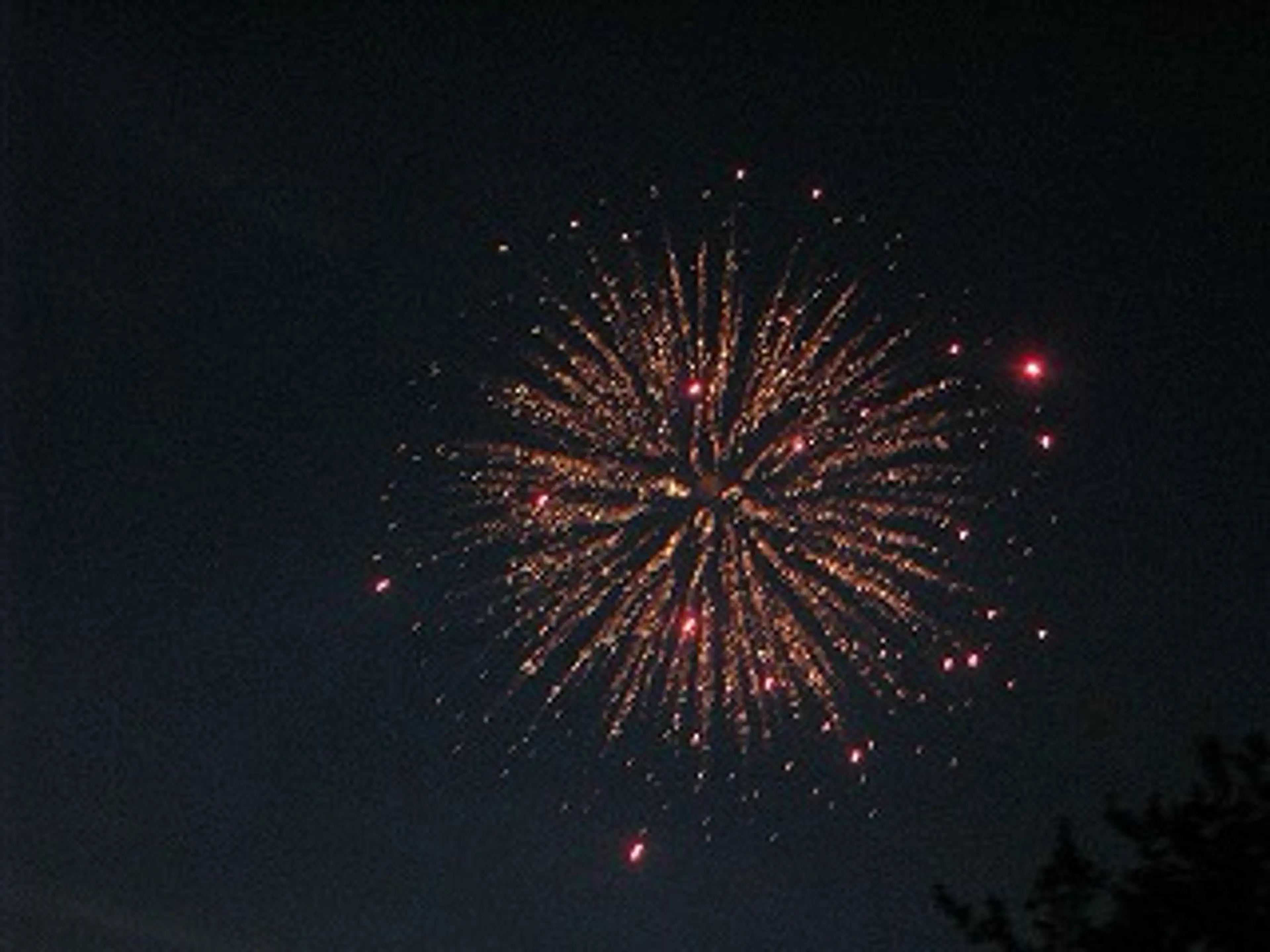 🌼二本柳 🌼のヘアスタイル