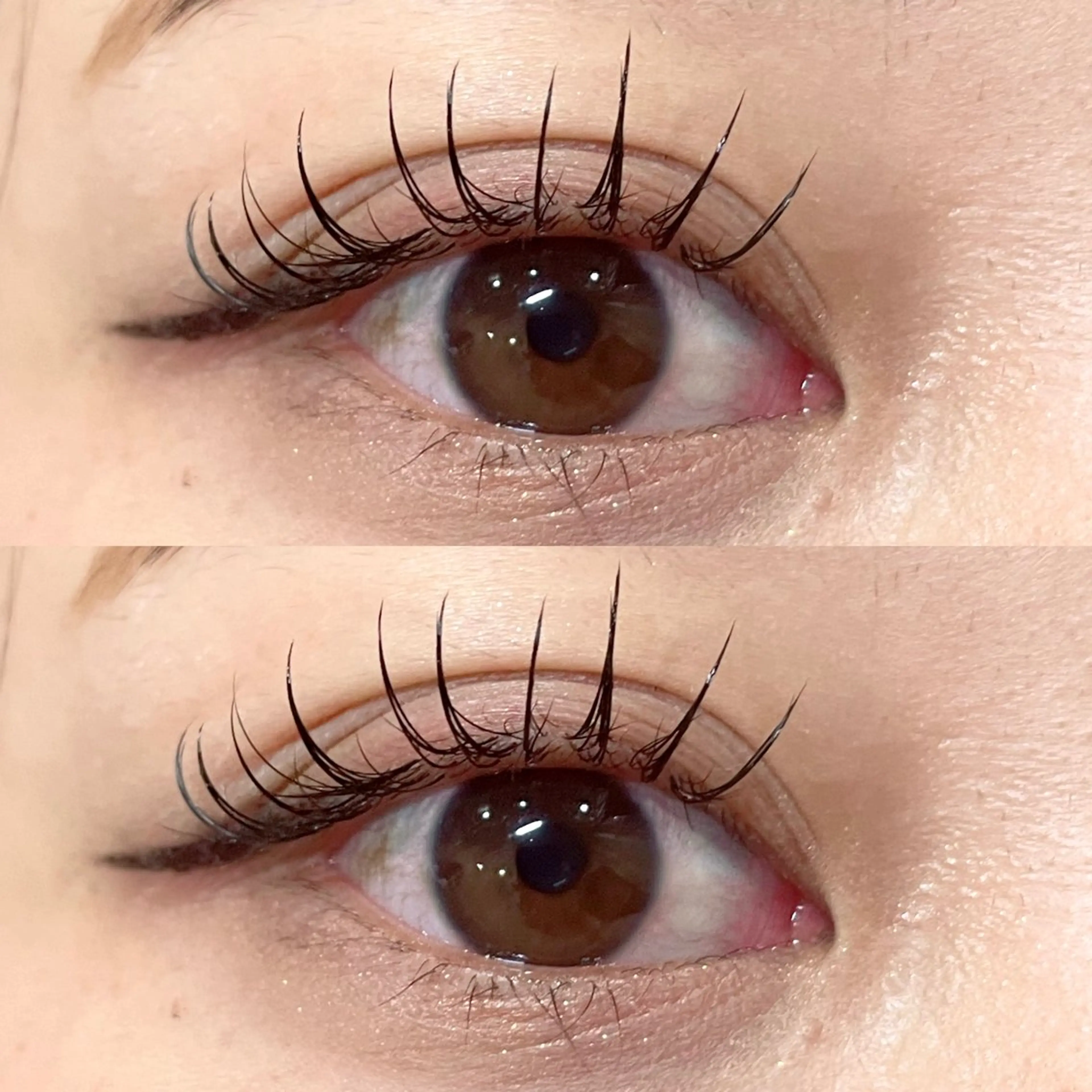 マツエク・マツパ Dカール ＋tico _ayanaのマツエク・マツパデザイン