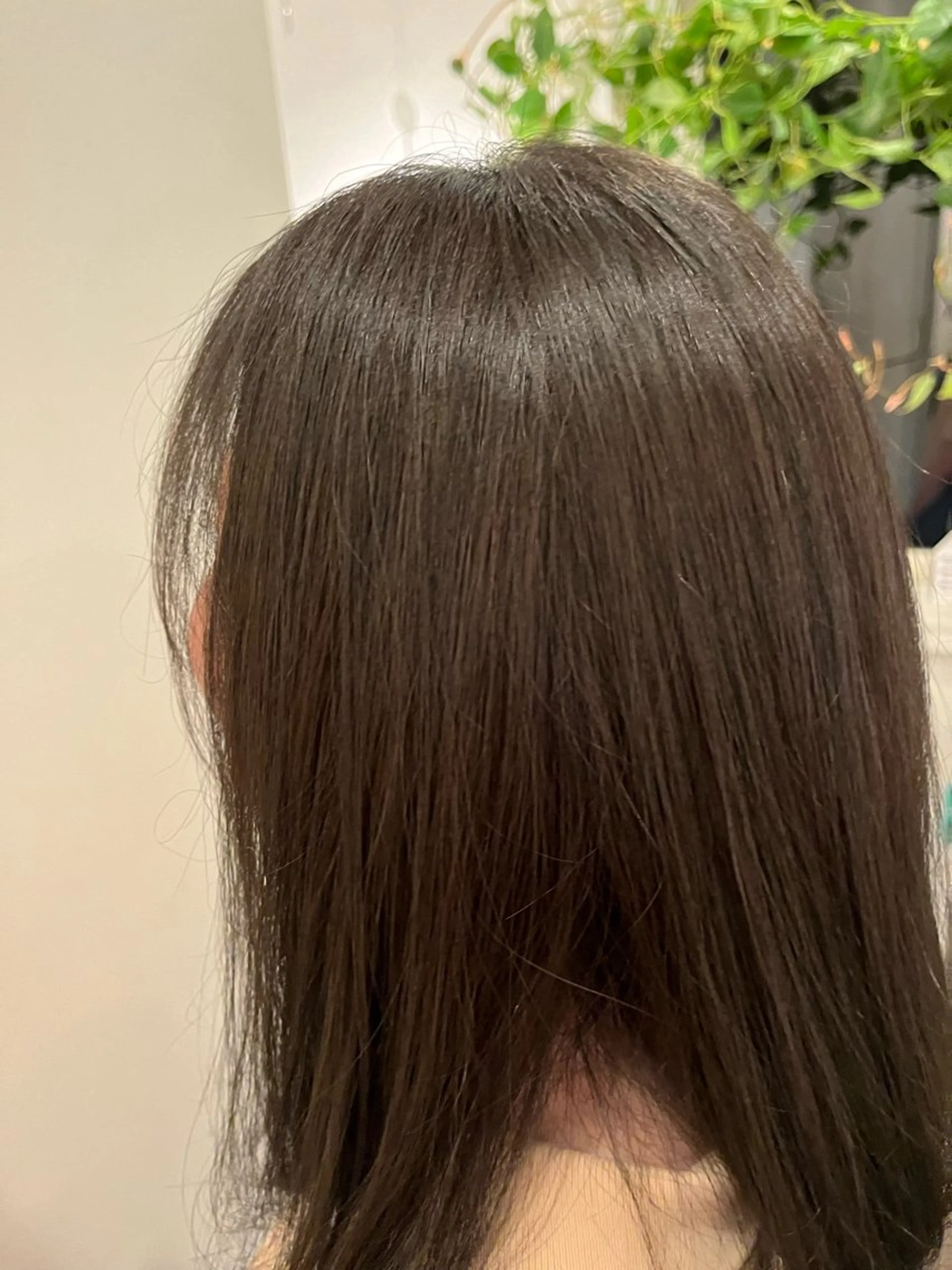 セミロング カラー アッシュ ヘアカラー こんの かいのヘアスタイル