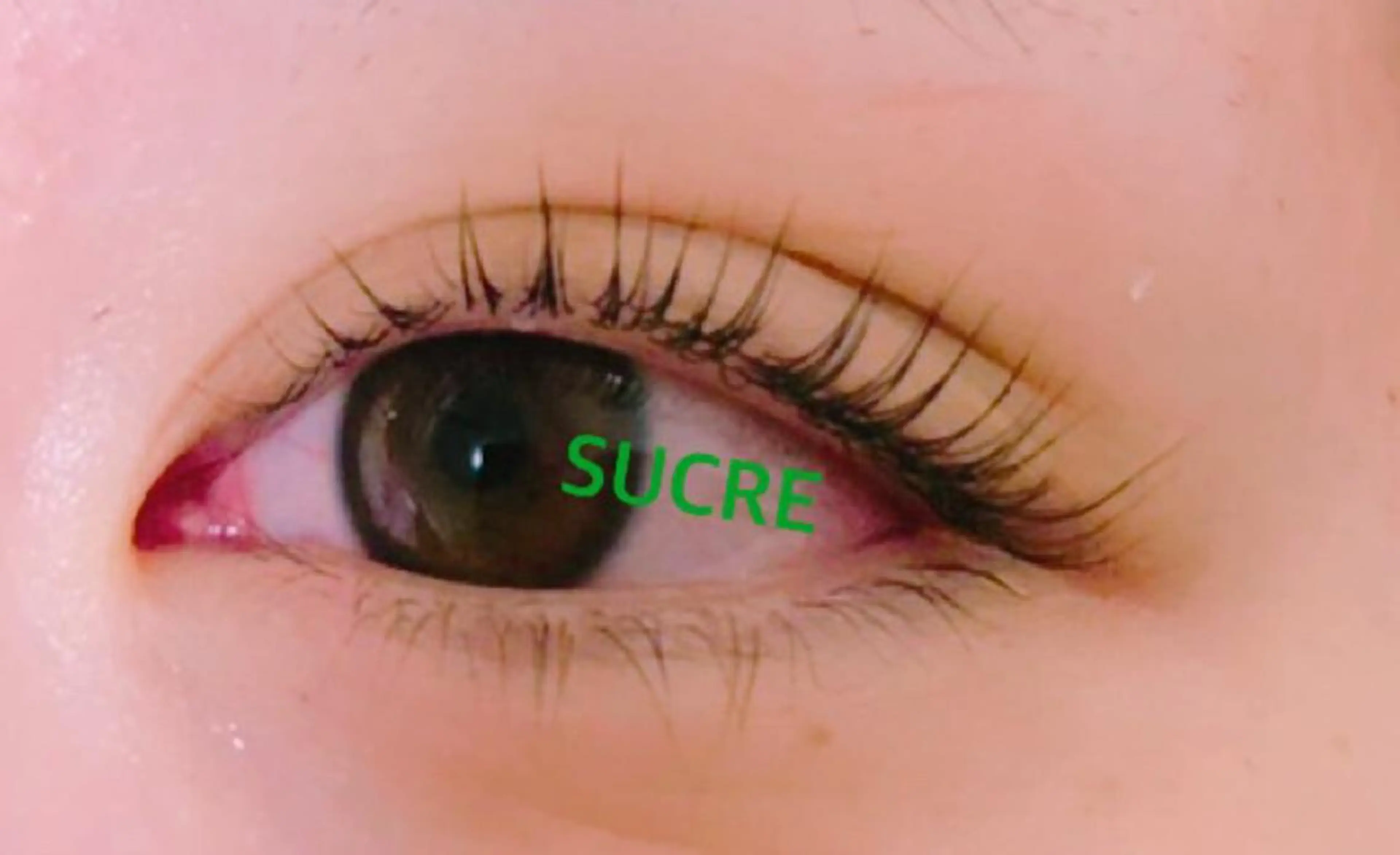 マツエク・マツパ EyelashSalon Liz.&所属・Liz.&現ino 平田のマツエク・マツパデザイン