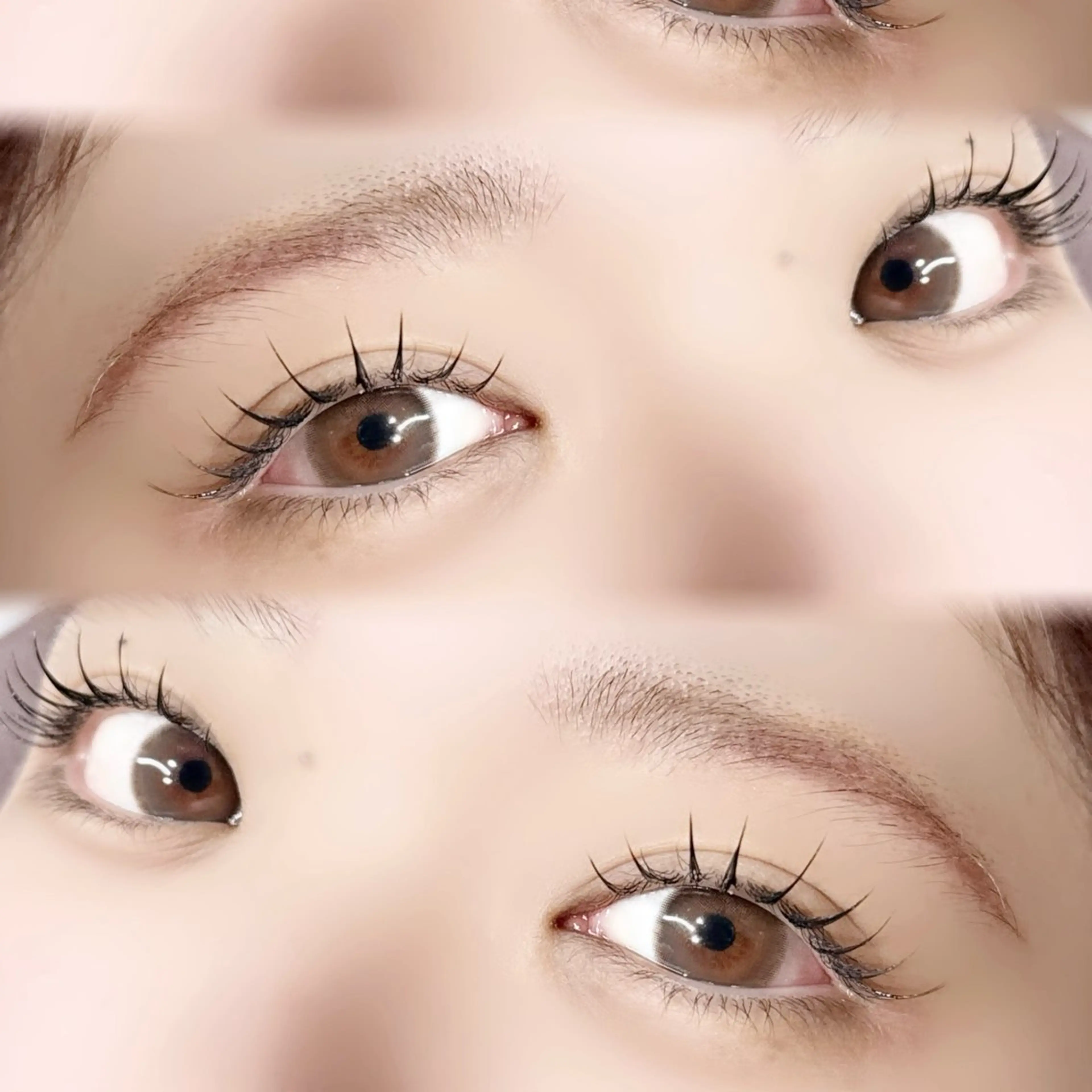 マツエク・マツパ 🪺fein. chihiro🪹のマツエク・マツパデザイン