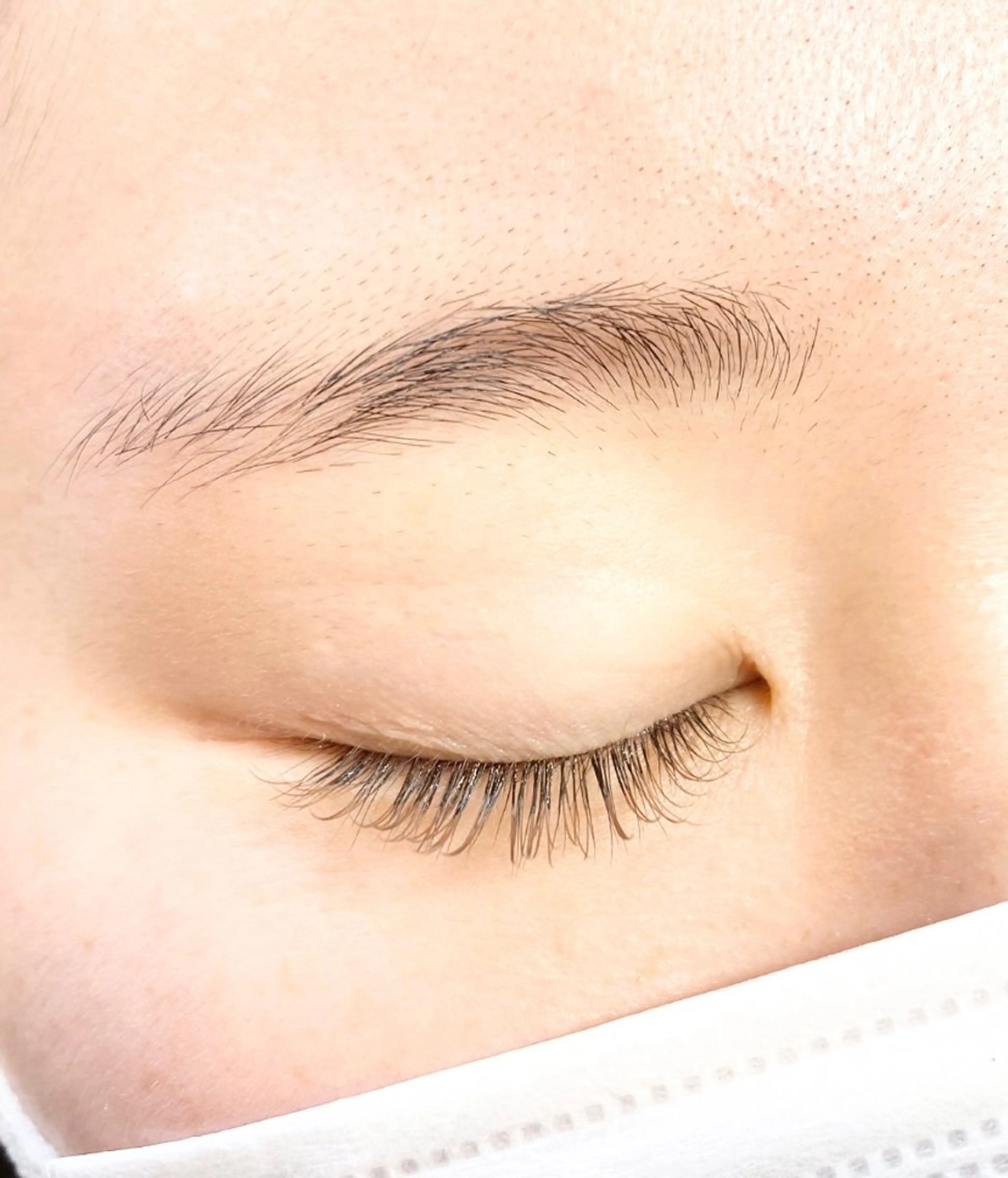 大人気！！フラットラッシュ120本の写真