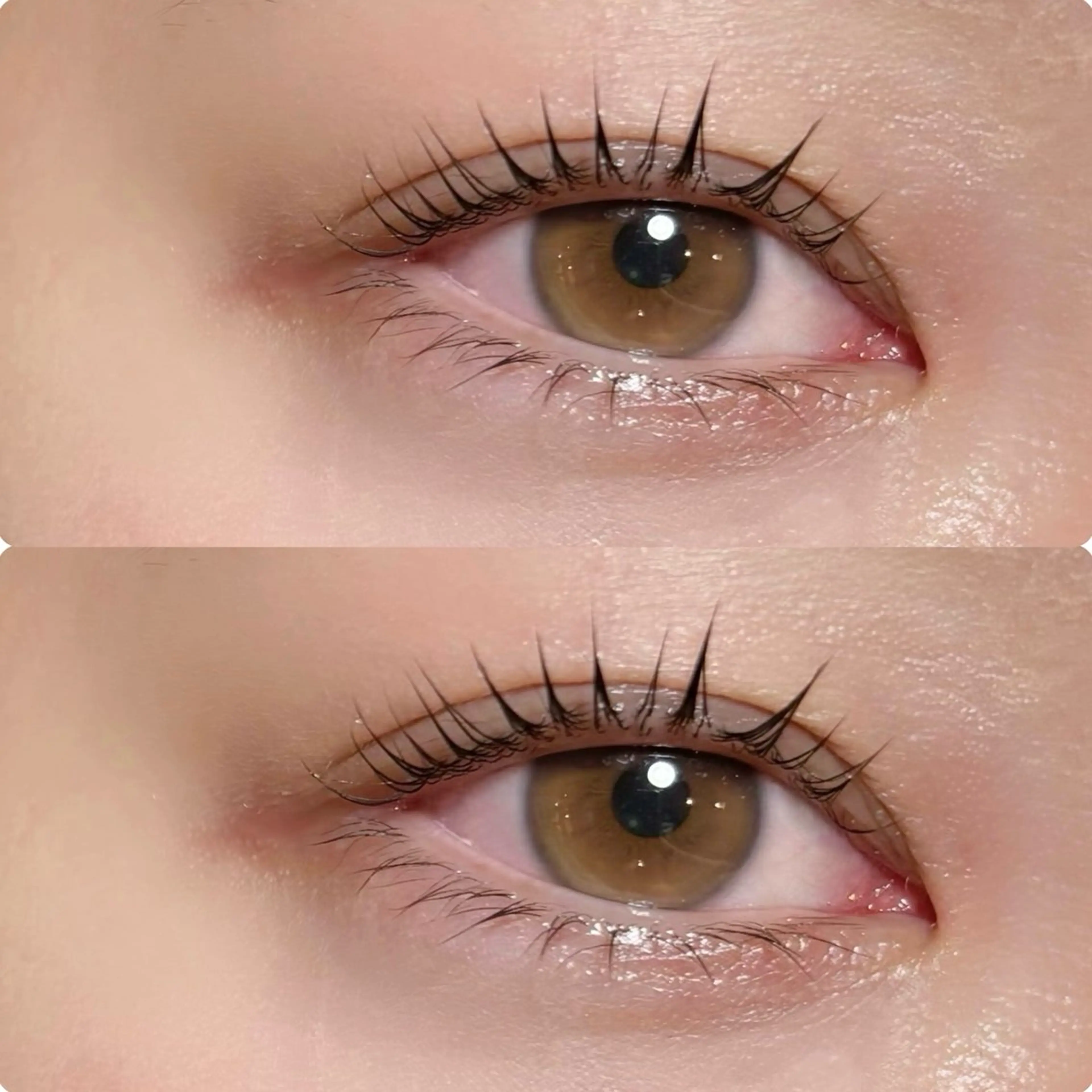 マツエク・マツパ meguru／マツパ ／マツエク／束感のマツエク・マツパデザイン