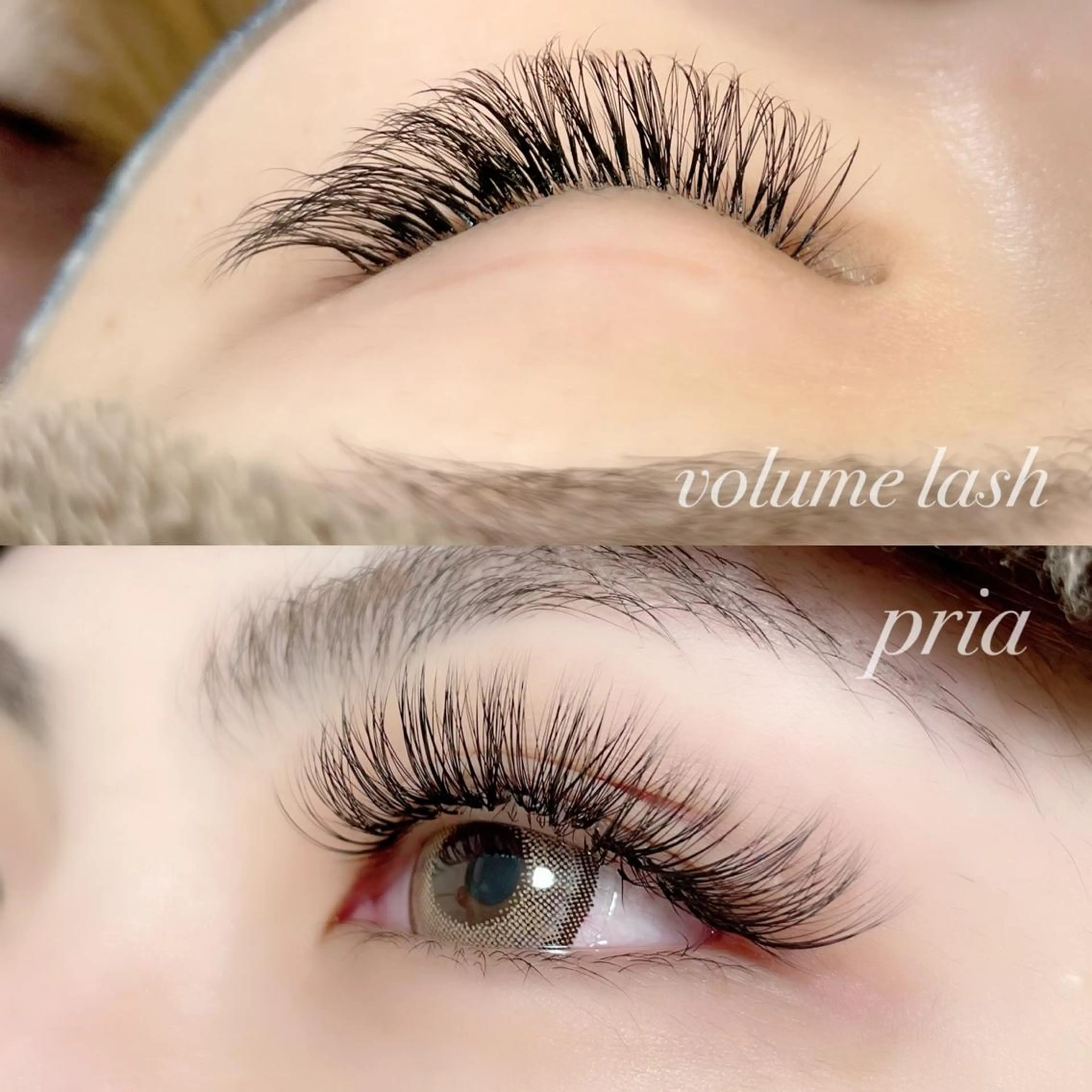 マツエク・マツパ pria【プリア】 yukiのマツエク・マツパデザイン