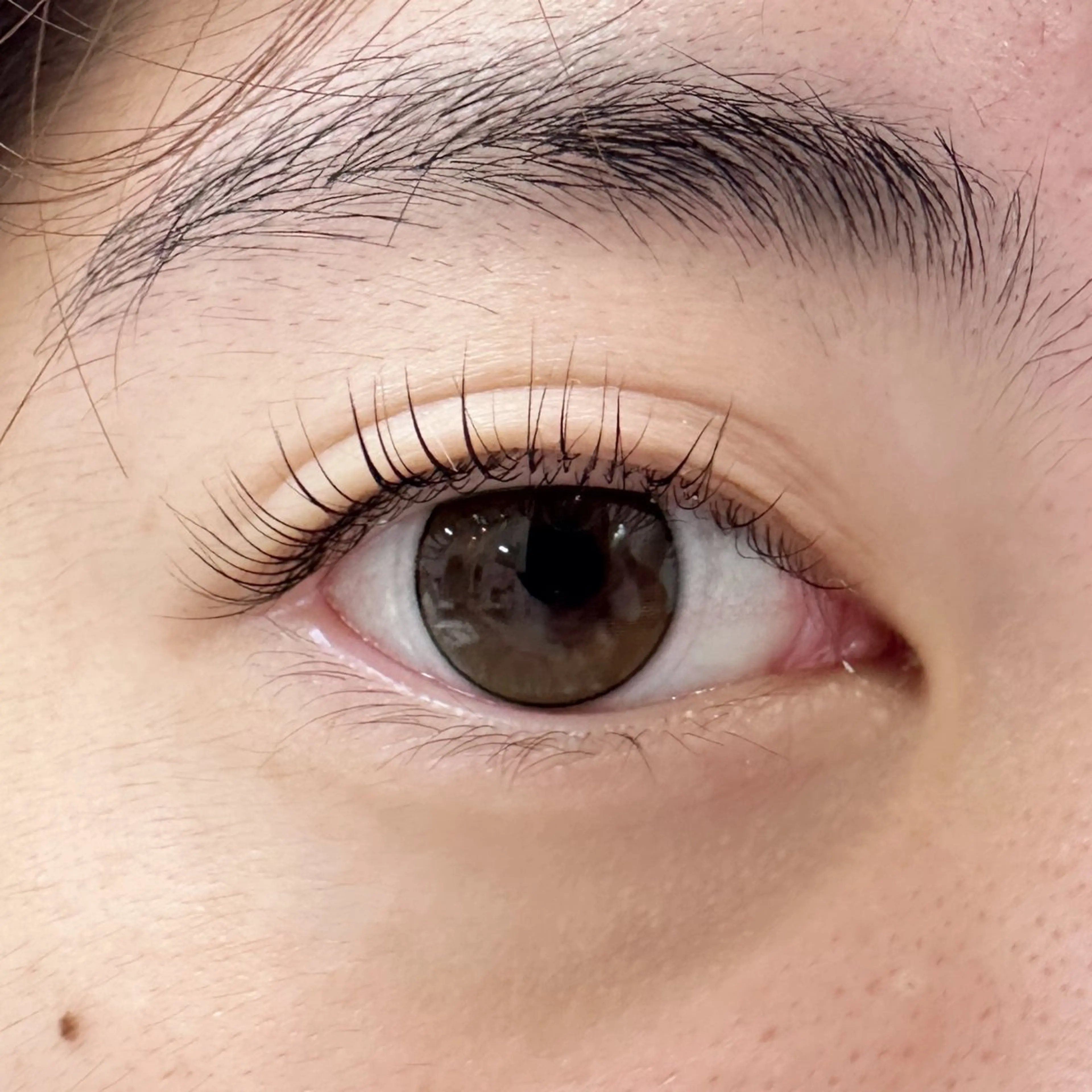 マツエク・マツパ サロンイズディス所属・🐥日比野 令🐥のマツエク・マツパデザイン