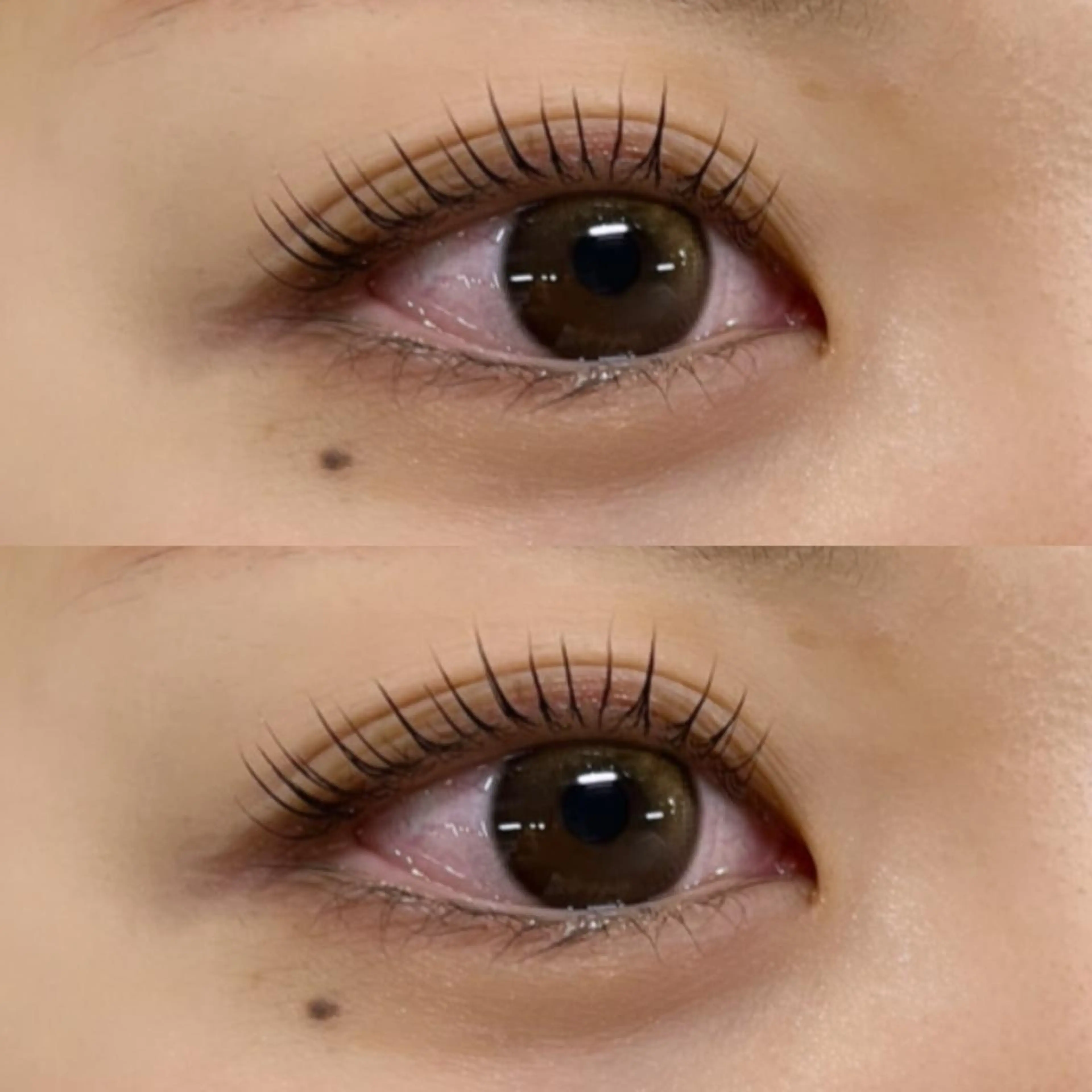 マツエク・マツパ パリジェンヌラッシュリフト eyelist RENA🐩♡のマツエク・マツパデザイン