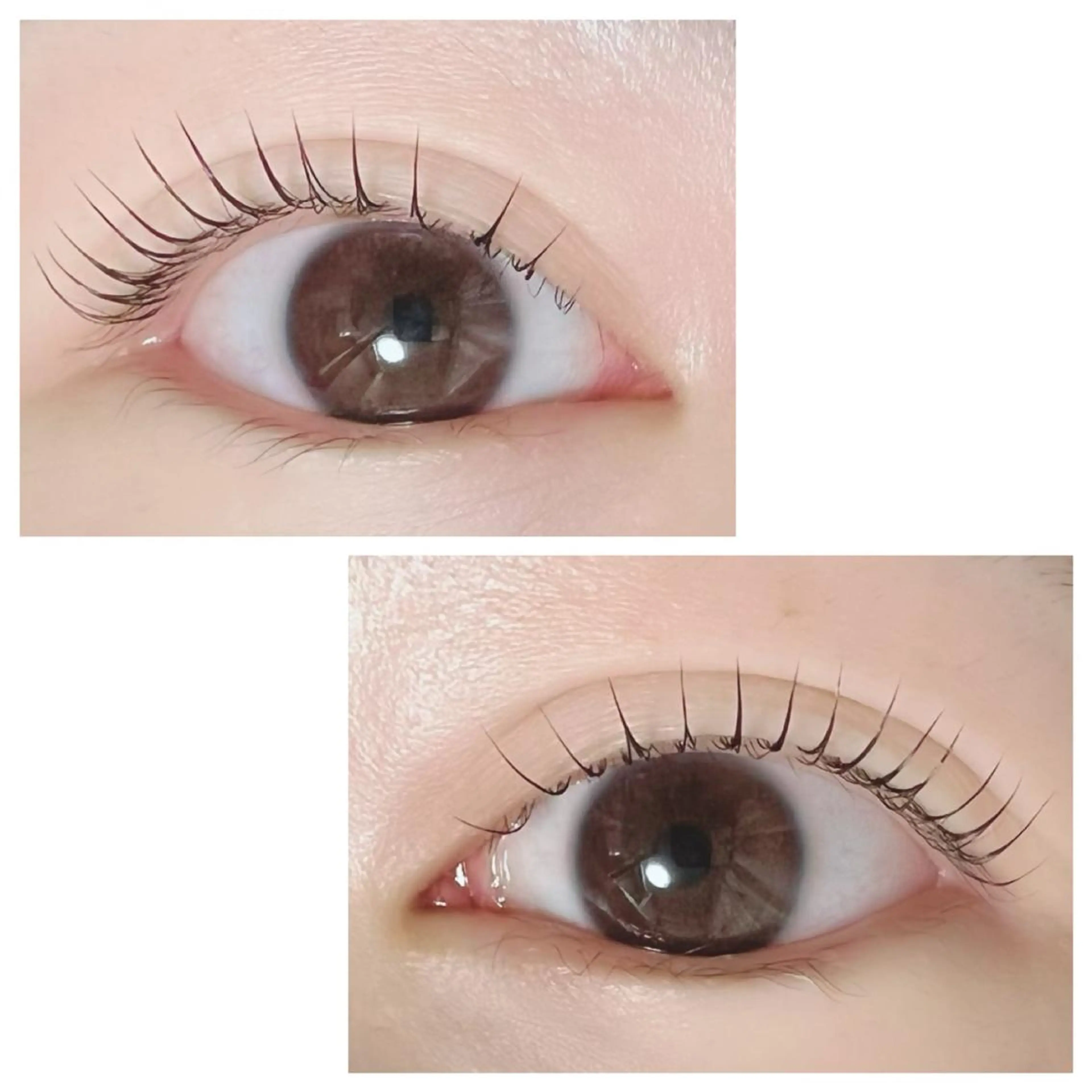 マツエク・マツパ Adorer(アドレ)所属・Adorer 🍀アドレ🍀のマツエク・マツパデザイン