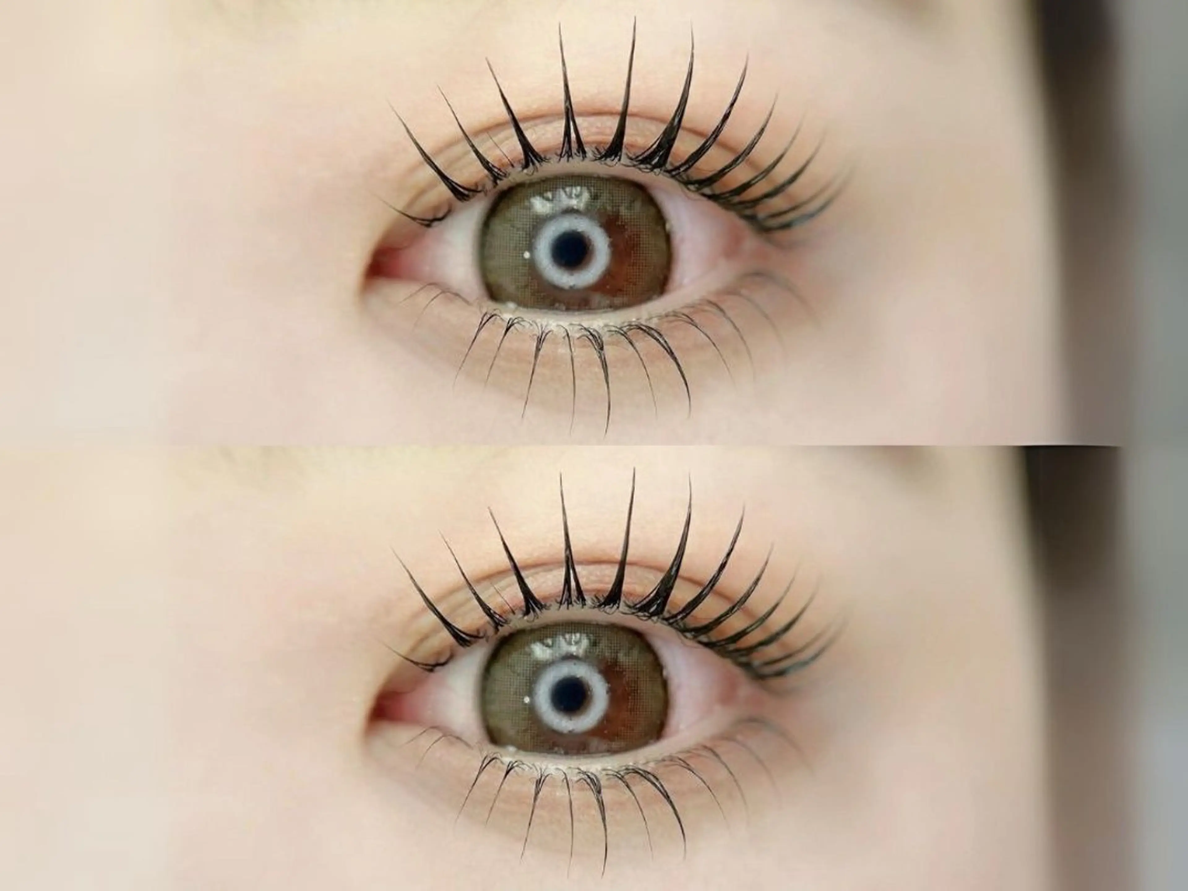 マツエク・マツパ マツパ MANA🧸🎀 アイブロウ/マツパの眉毛・アイブロウイメージ