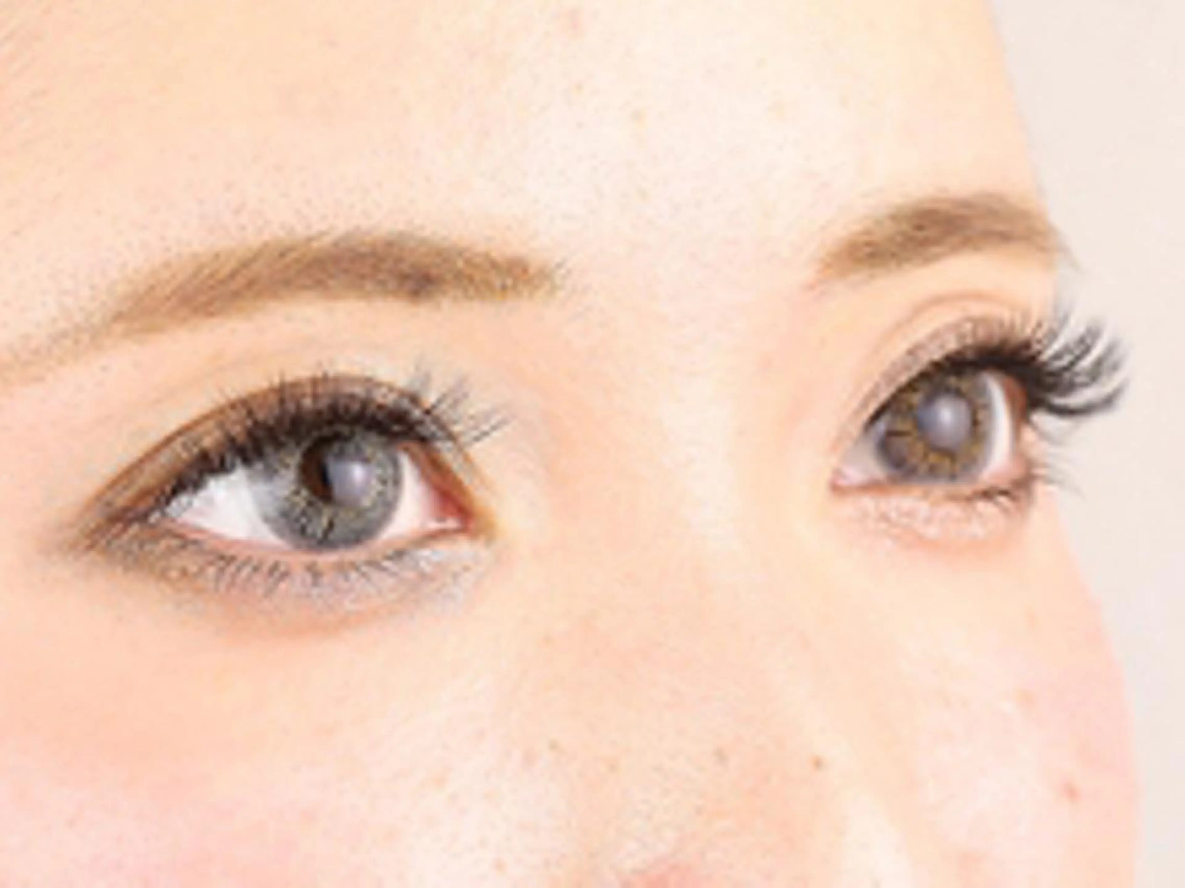 韓国で話題‼️マスカラパーマ(パリジェンヌ➕トリートメントブラックティント)の写真