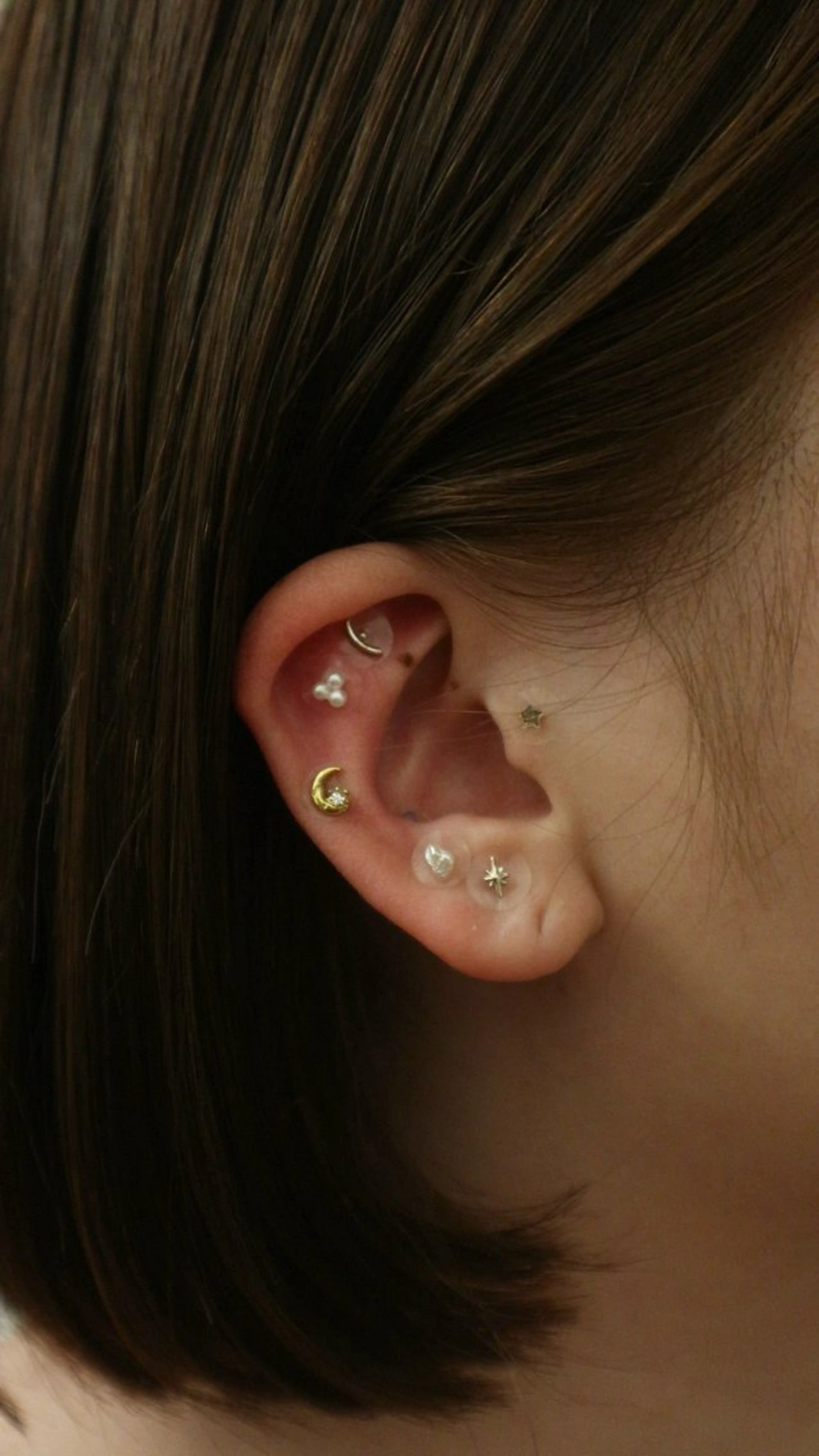 B.napus/mimi2bo所属・B.napus Nanohaのその他イメージ