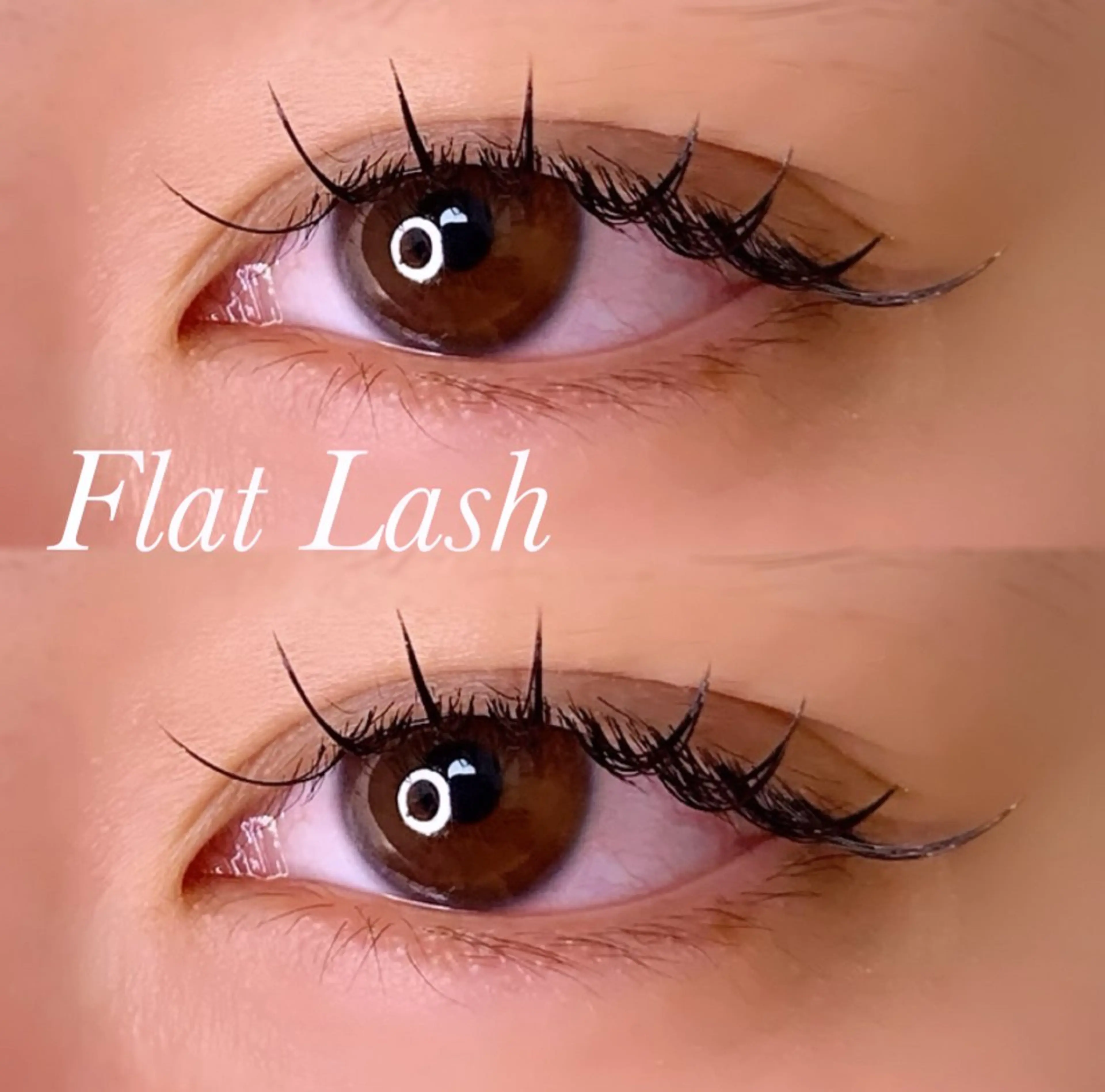 マツエク・マツパ Cカール フラットラッシュ Jカール マツエク Ayumi.pro 🍆N《4階》のマツエク・マツパデザイン