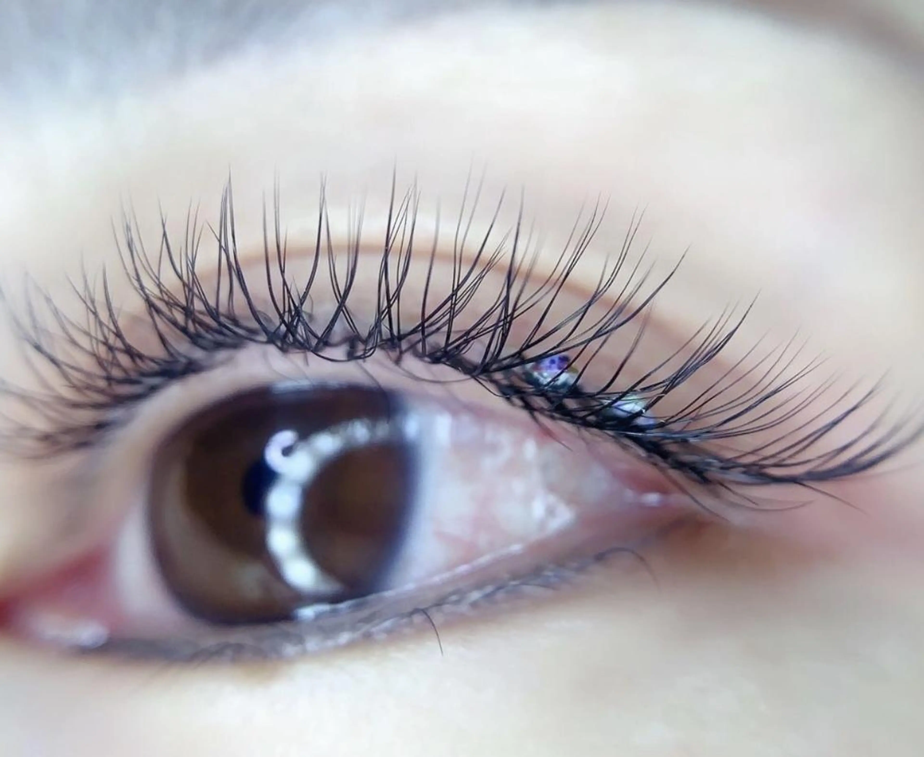 マツエク・マツパ Cute B e au t yのマツエク・マツパデザイン