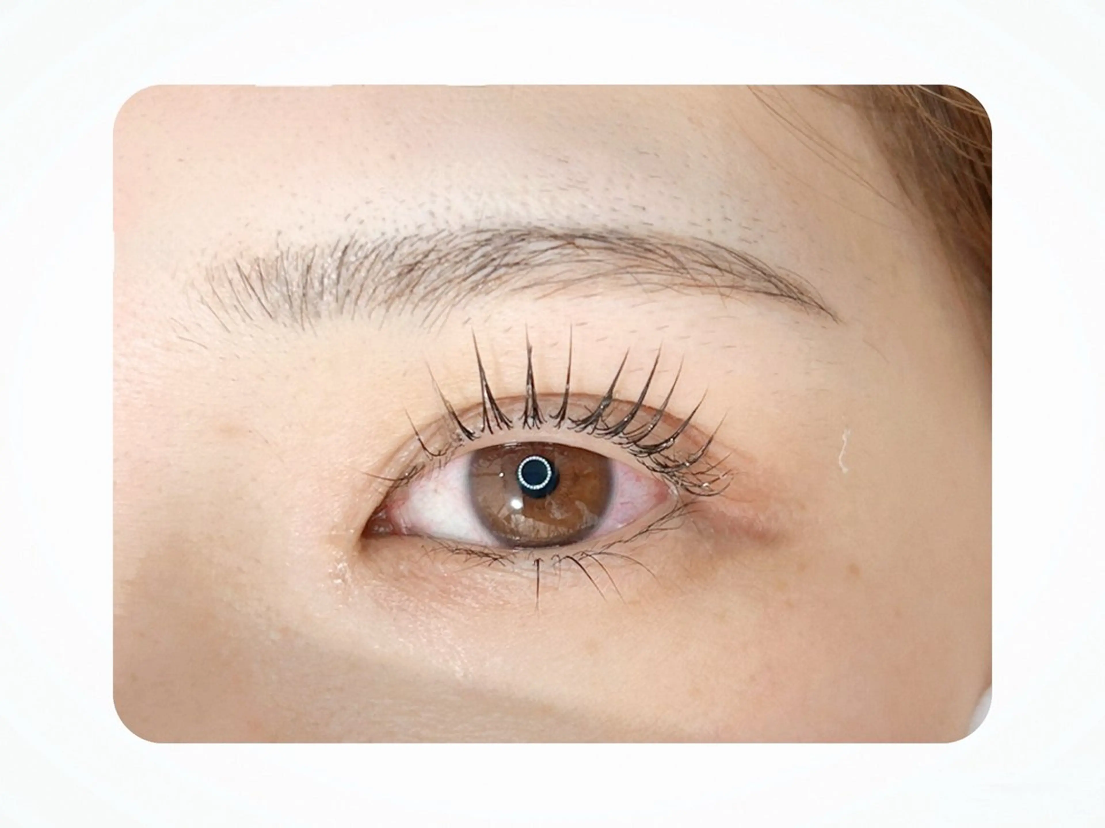 マツエク・マツパ マツパ Gluttony/ ｸﾞﾗﾄﾆｰ＊ユキのマツエク・マツパデザイン