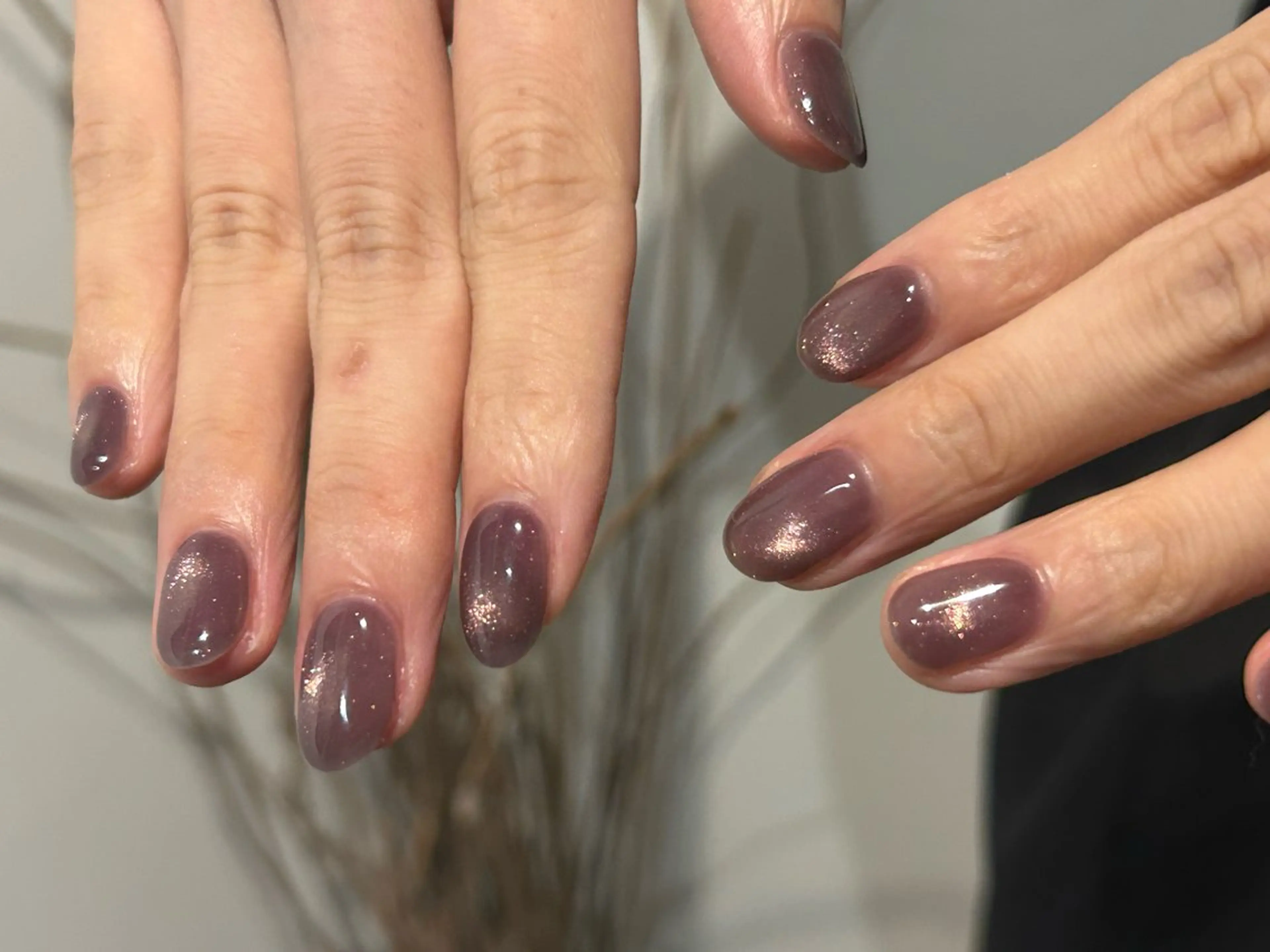 マグネットネイル パラジェル ※クレーム、お直しは対応できかねます。注意事項必読の写真