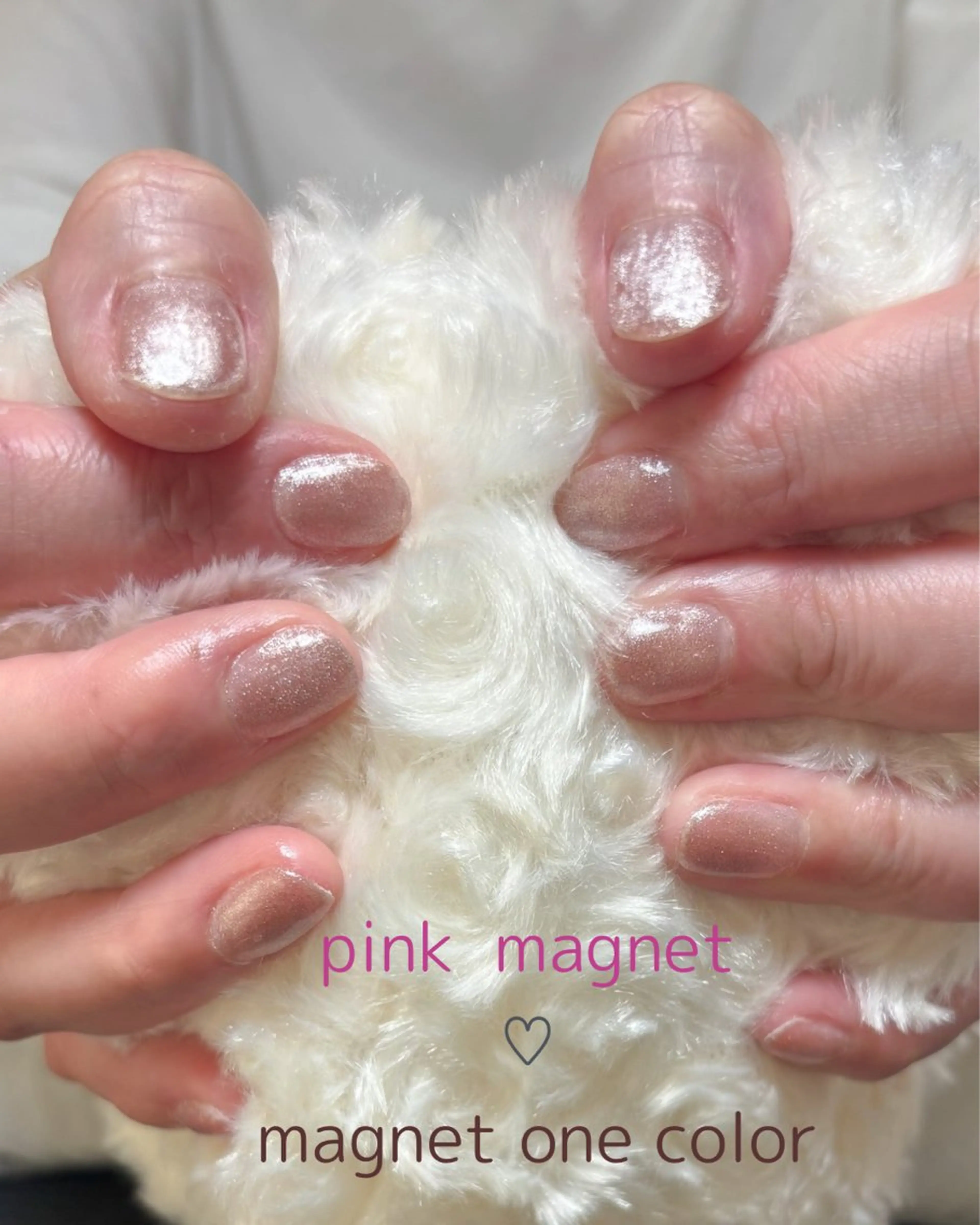 キラキラ輝くマグネットワンカラー♡オフなしケア込みの写真