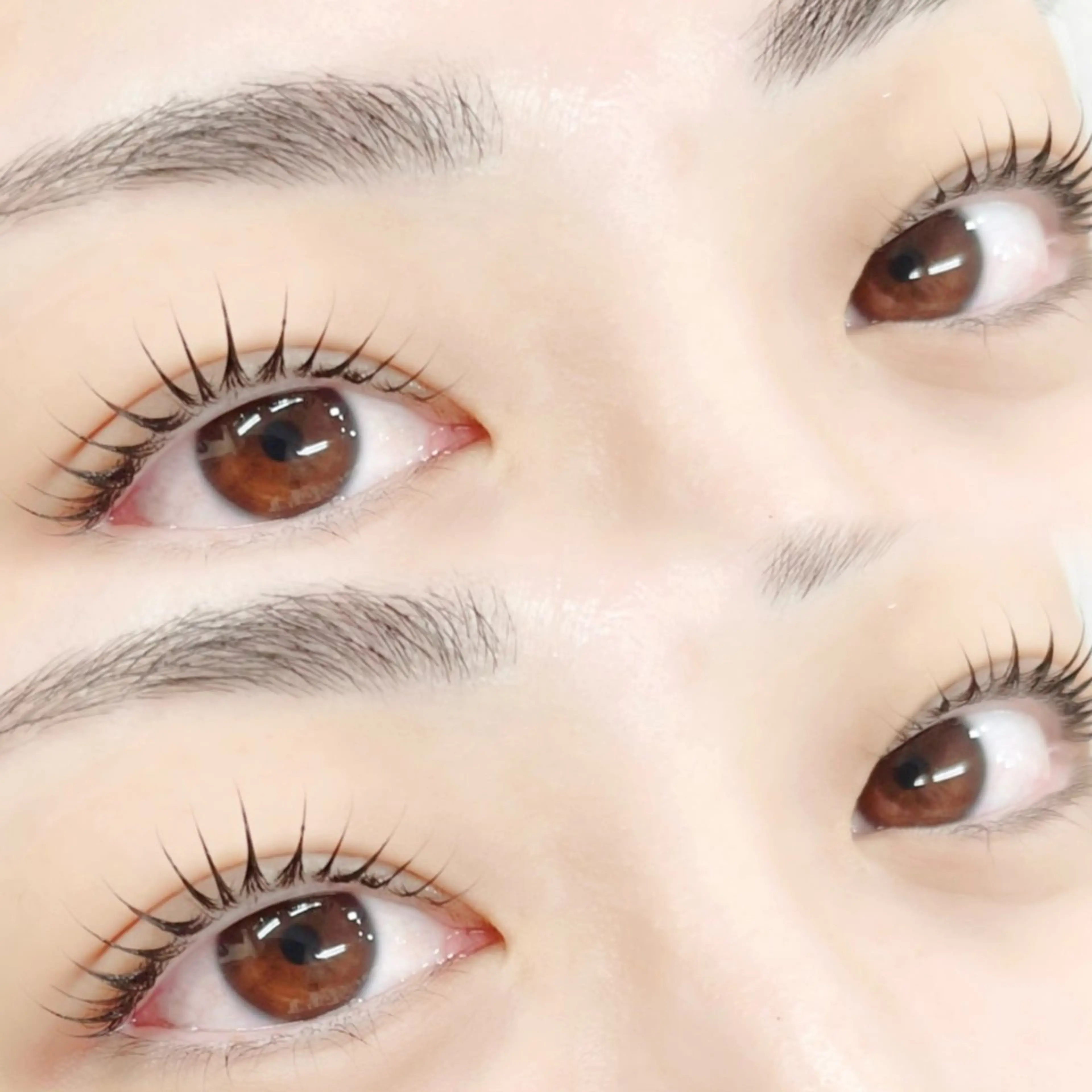 自まつげを濃くハッキリ🖤マスカラパーマ🖤まつげパーマ[上のみ]➕ブラックティント⟡.·赤羽の写真